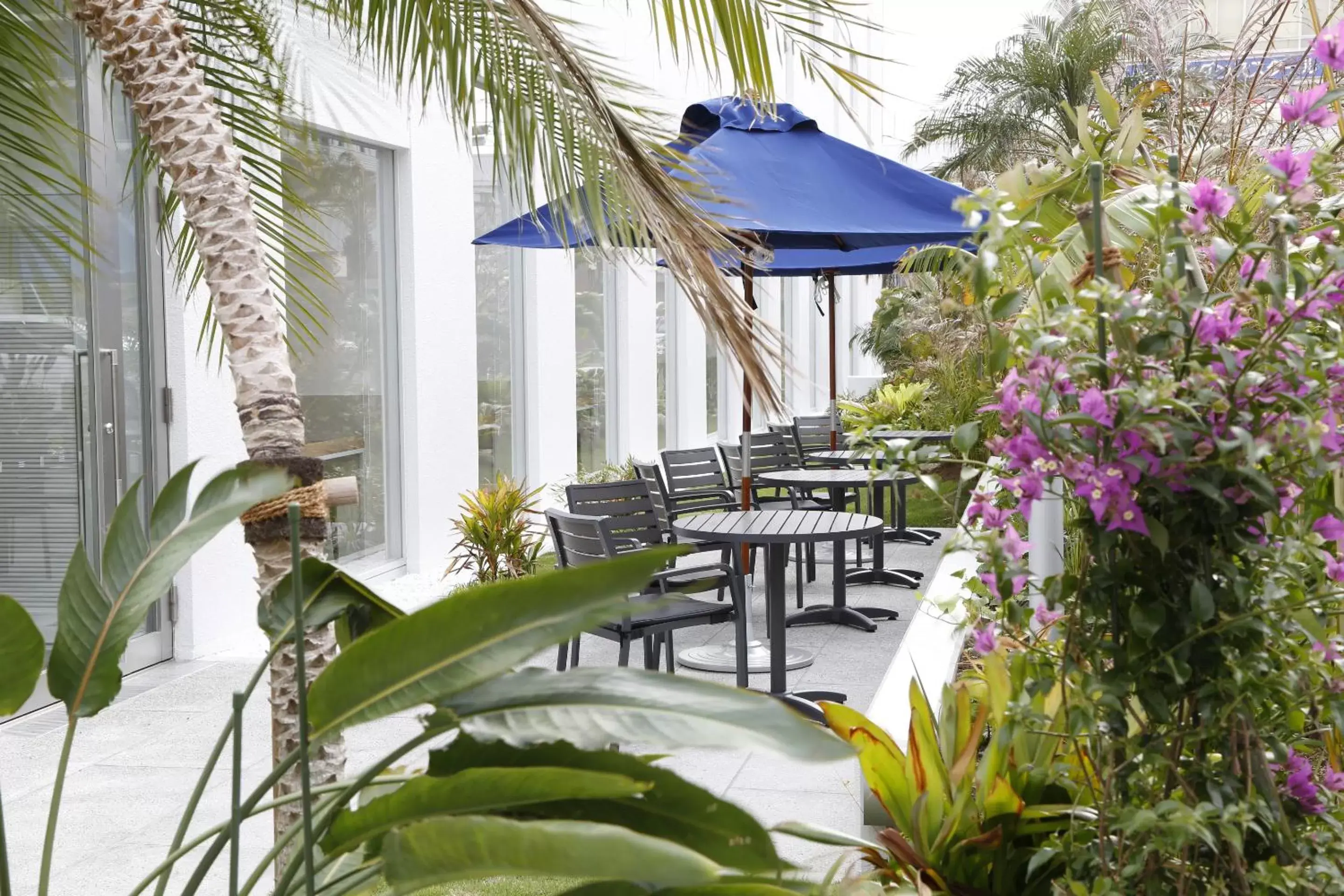 Balcony/Terrace, Restaurant/Places to Eat in Dormy Inn Miyazaki Natural Hot Spring