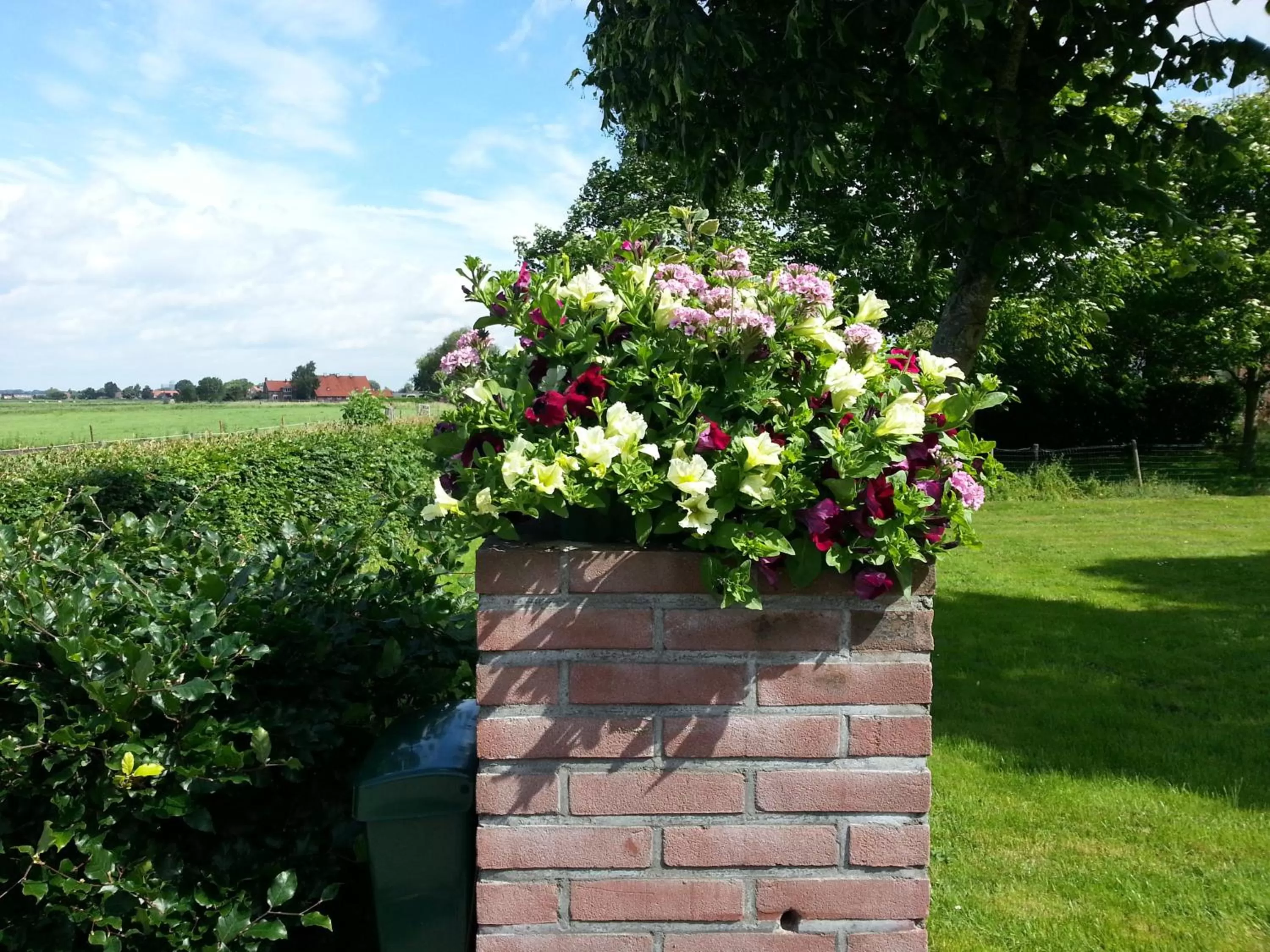 Decorative detail, Garden in B&B de Rivierduin
