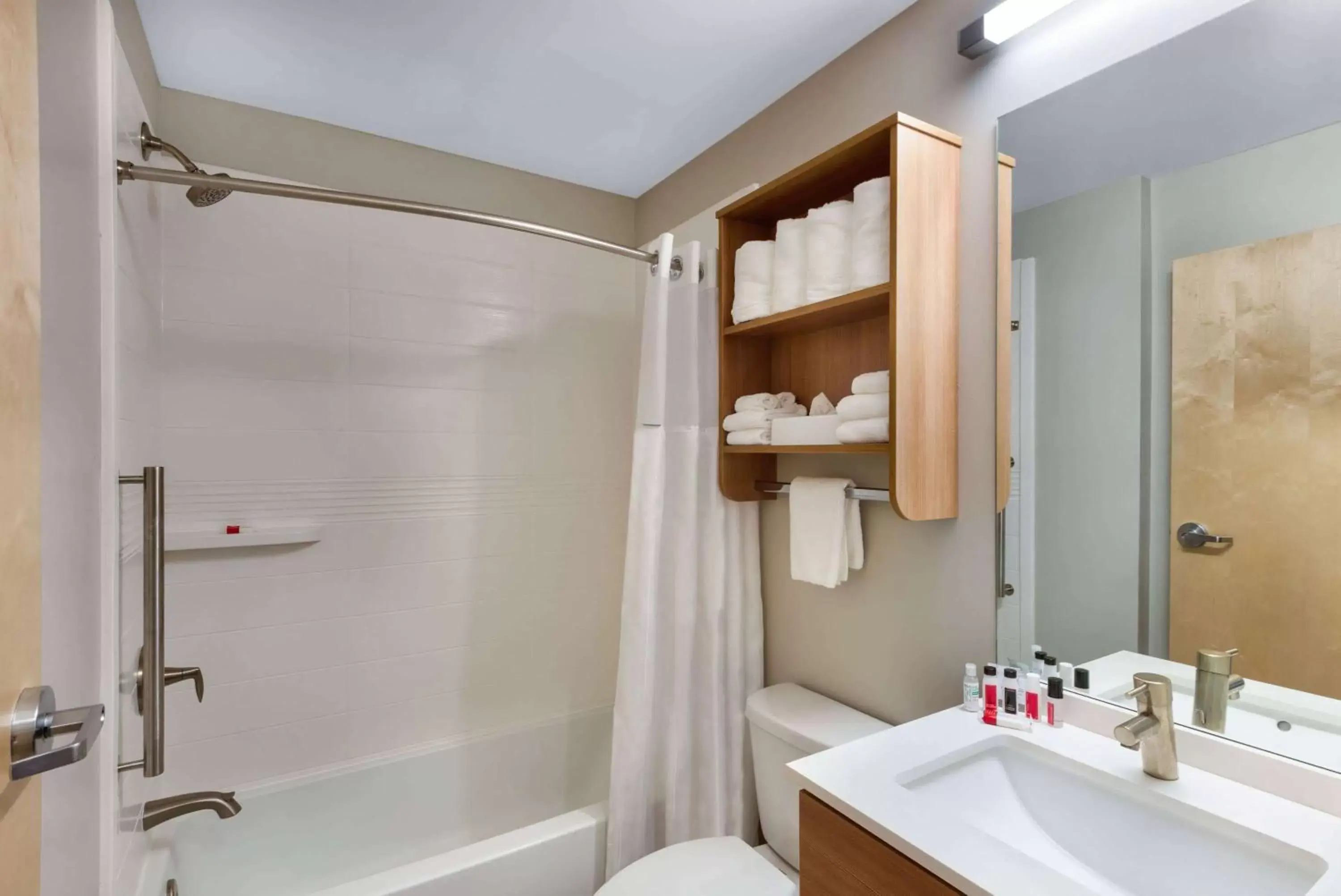 Bathroom in Microtel Inn & Suites by Wyndham Farmington