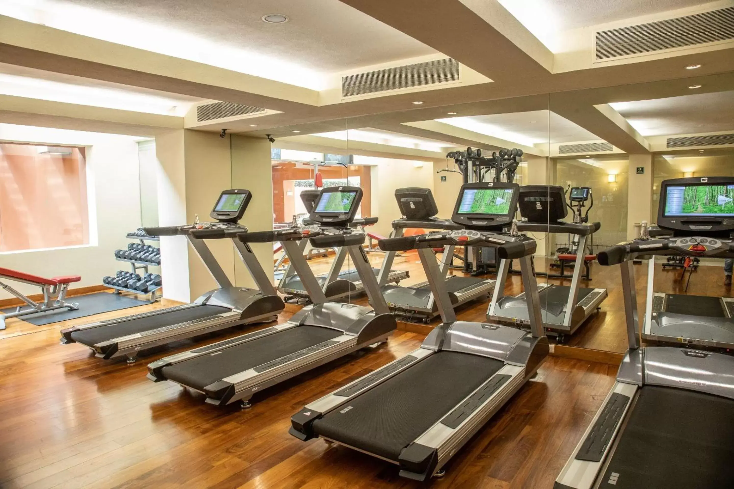 Fitness centre/facilities, Fitness Center/Facilities in Camino Real Monterrey