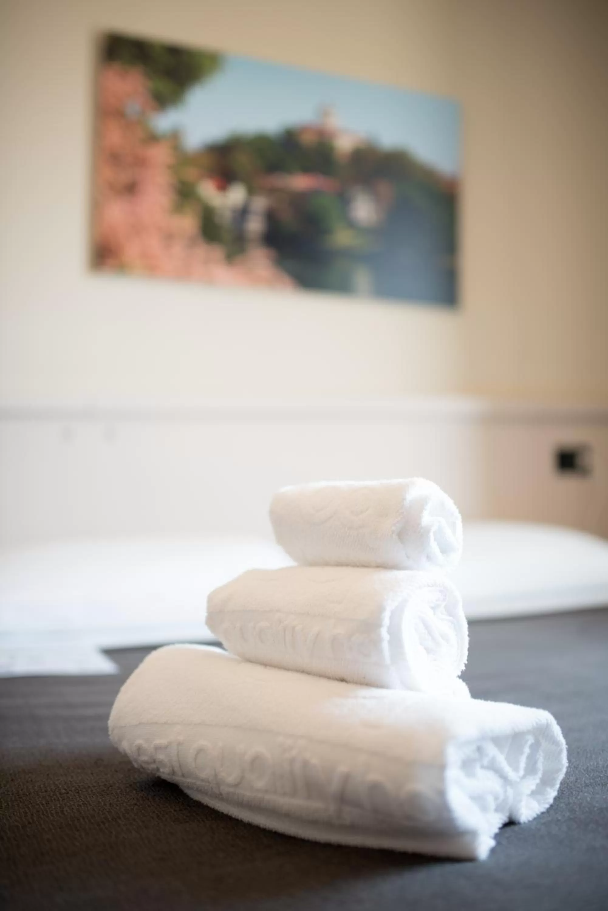 Bed in Green Class Hotel Candiolo