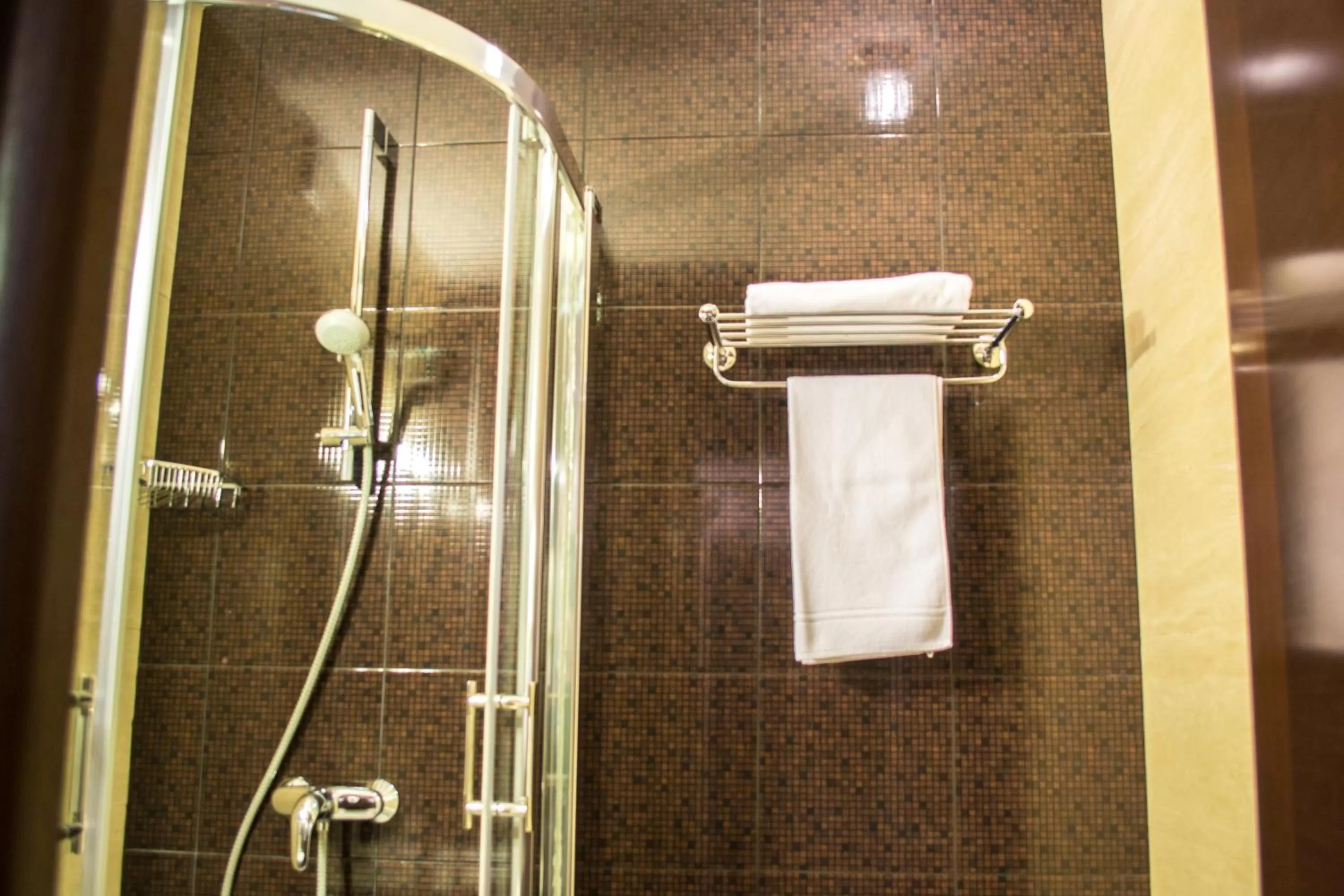 Shower in RiverSide- Hotel and MICE