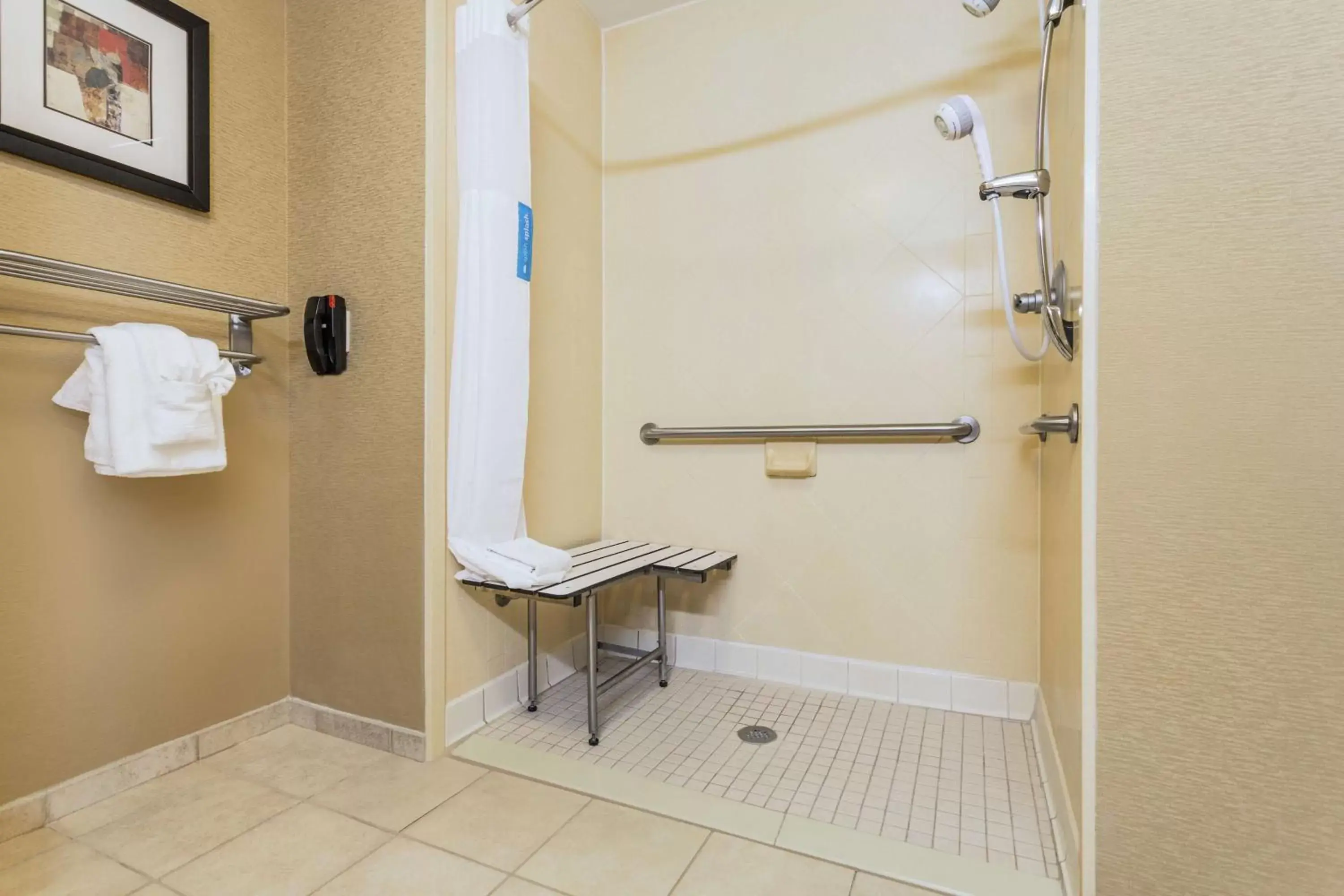 Bathroom in Hampton Inn Petersburg - Southpark Mall
