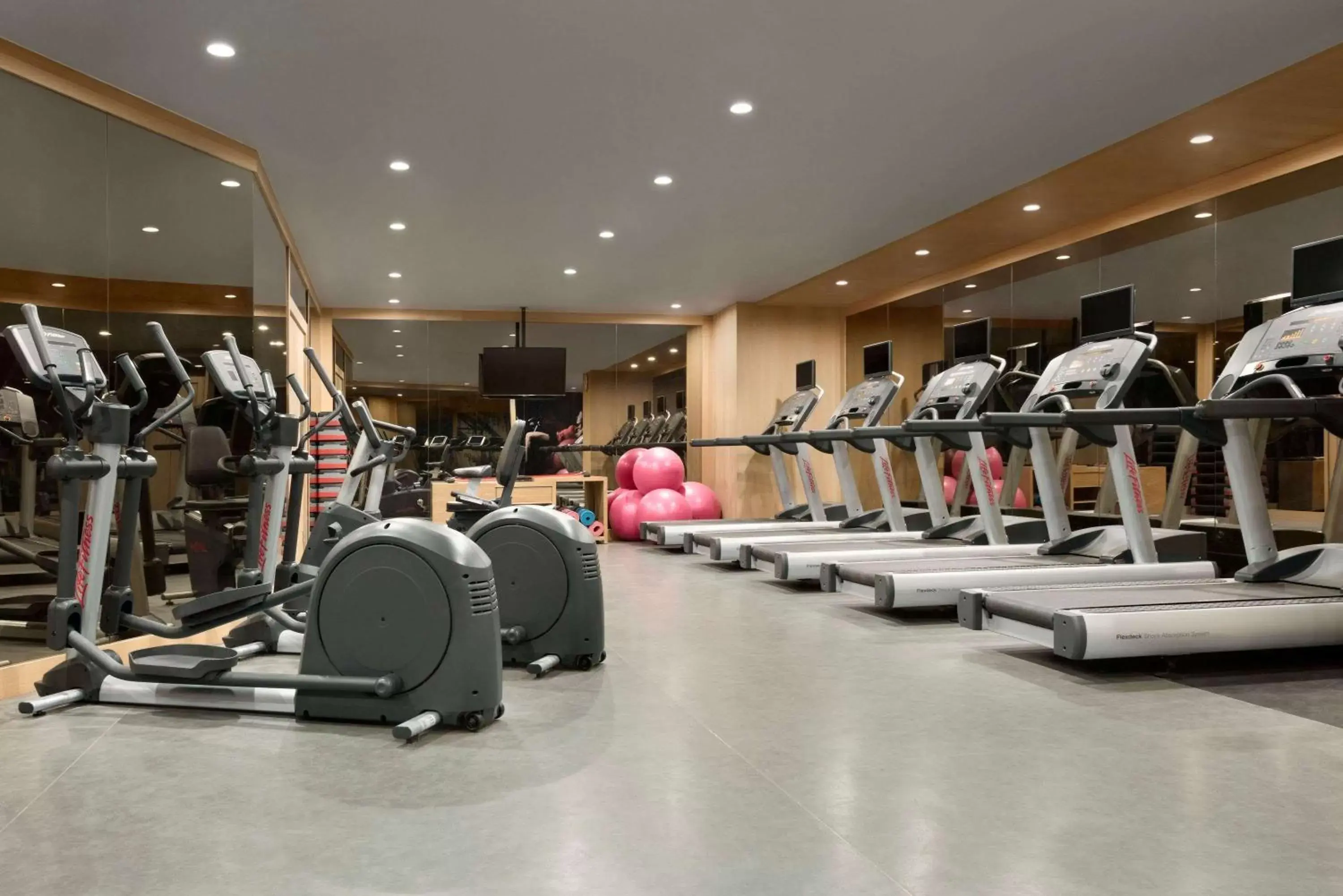Fitness centre/facilities, Fitness Center/Facilities in Ramada Plaza By Wyndham Konya