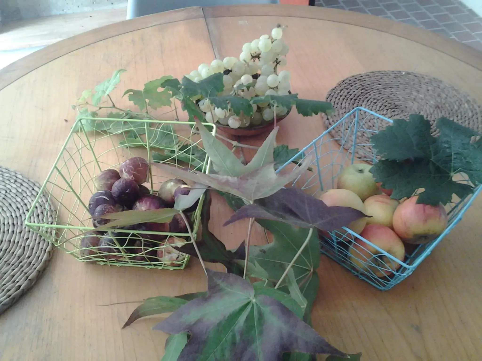 Property building, Food in Au Vélo dans l'Arbre