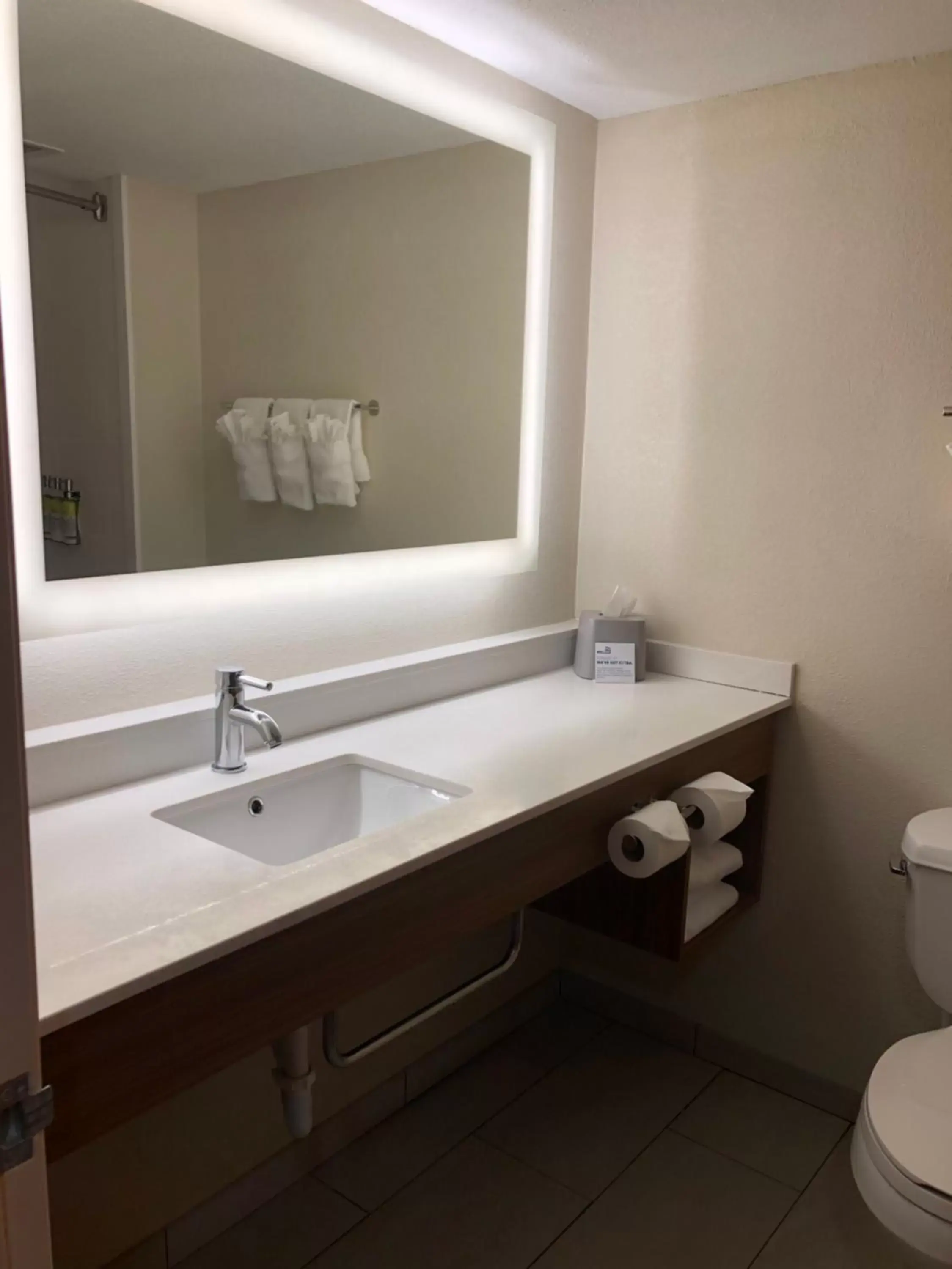 Bathroom in Holiday Inn Express & Suites Cedar Falls - Waterloo, an IHG Hotel