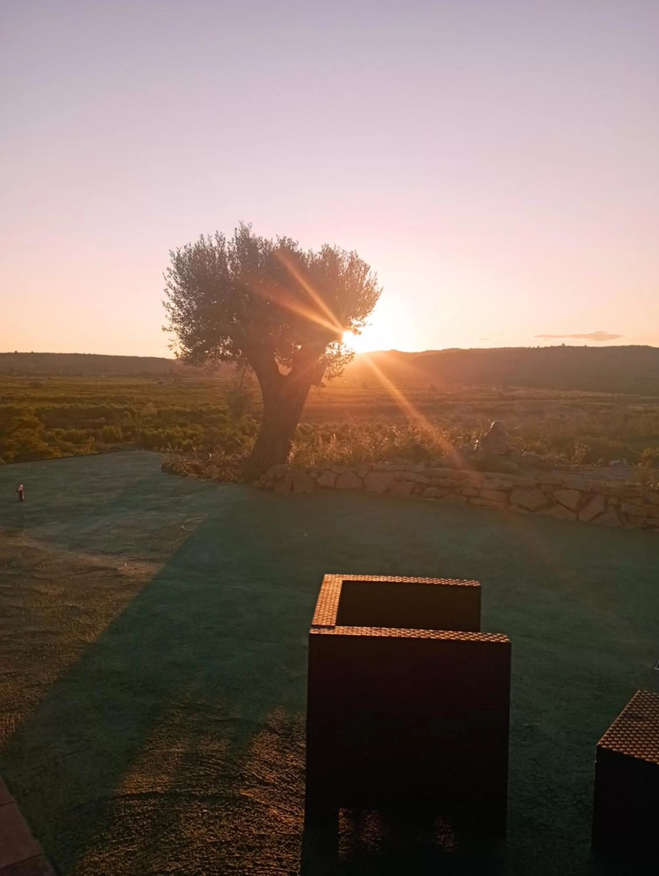 Day in Cabezo Buñuel Hostal