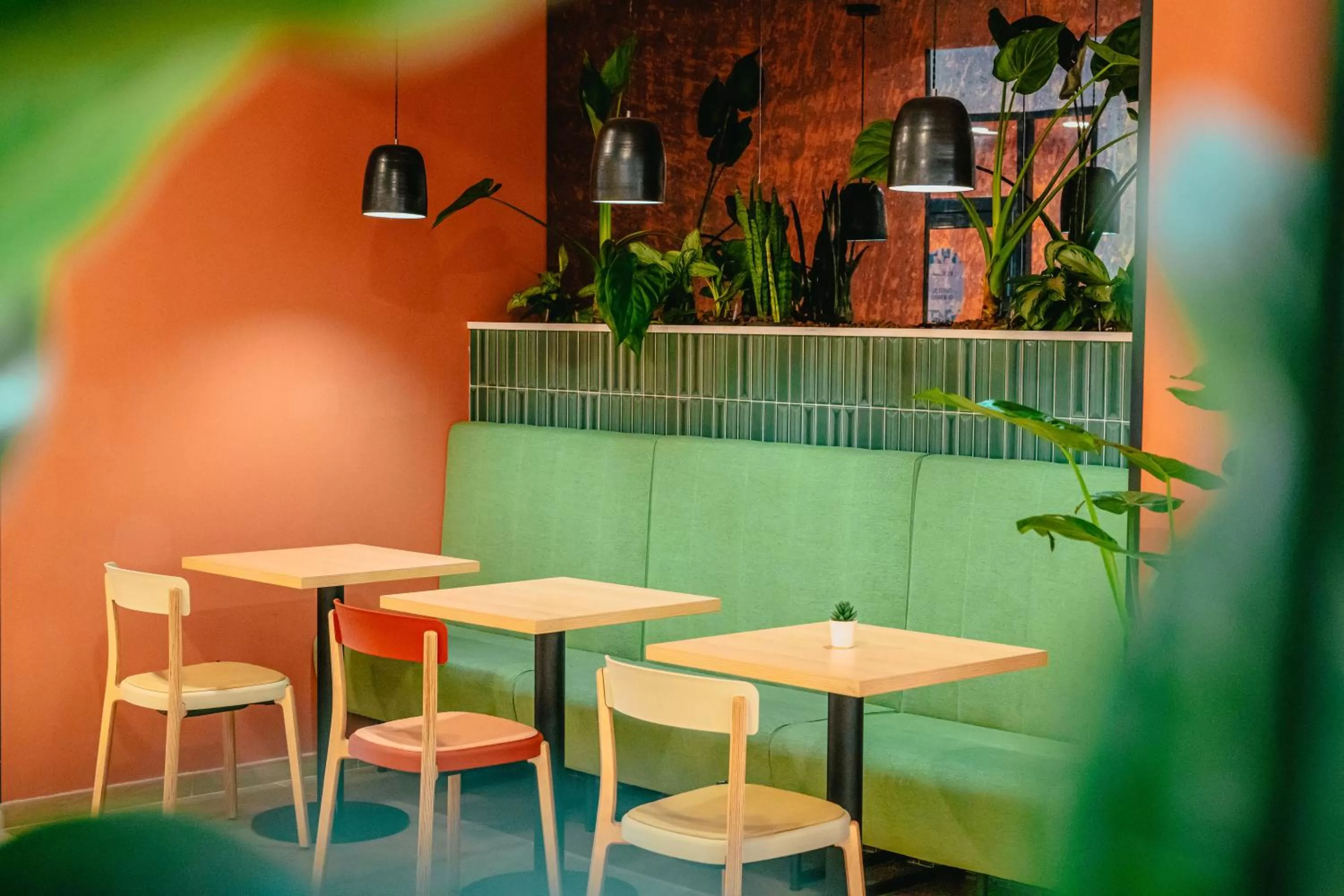 Restaurant/places to eat in Kyriad Marseille Palais Des Congrès – Vélodrome