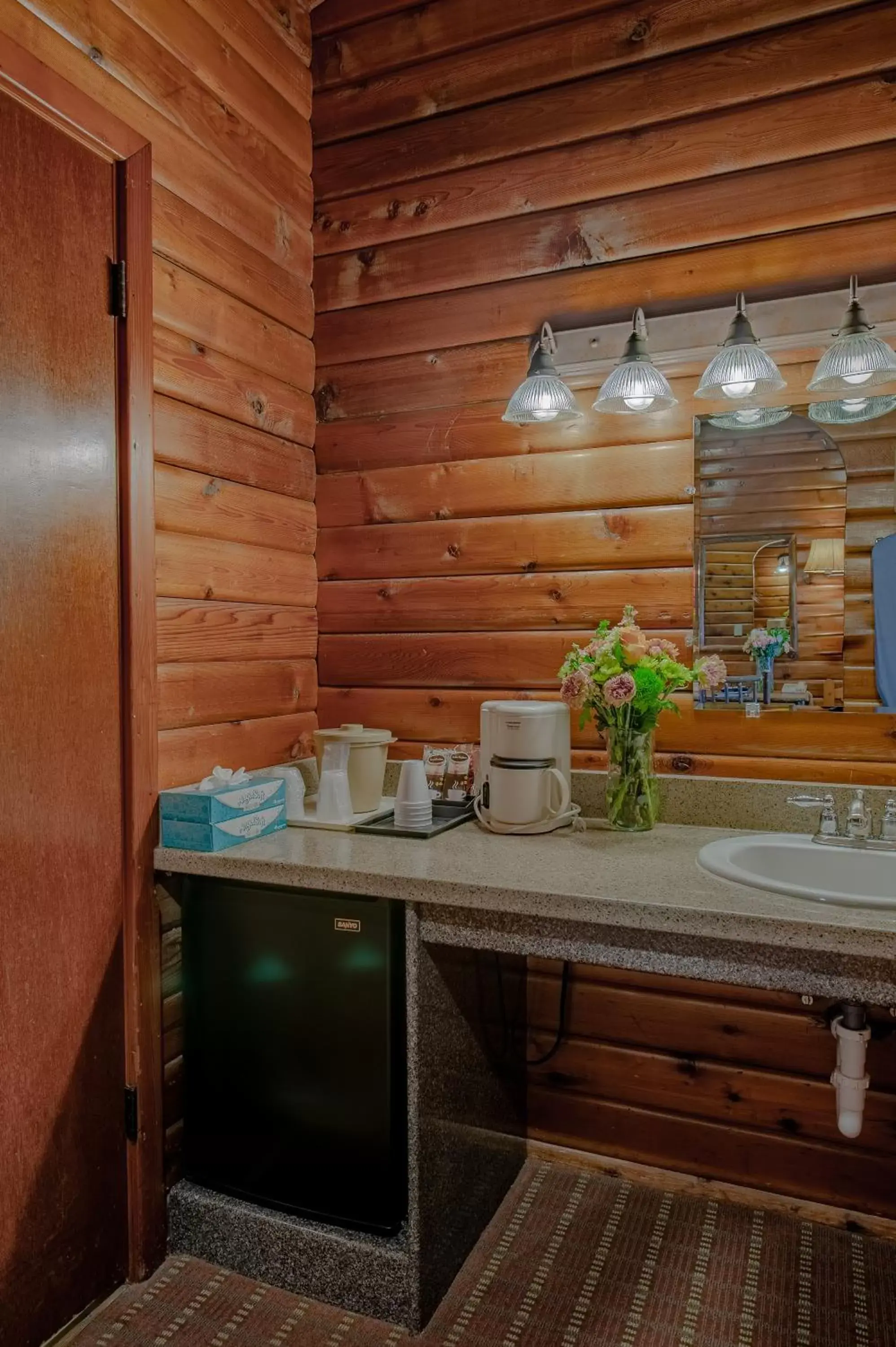 Bathroom, Kitchen/Kitchenette in Antler Inn