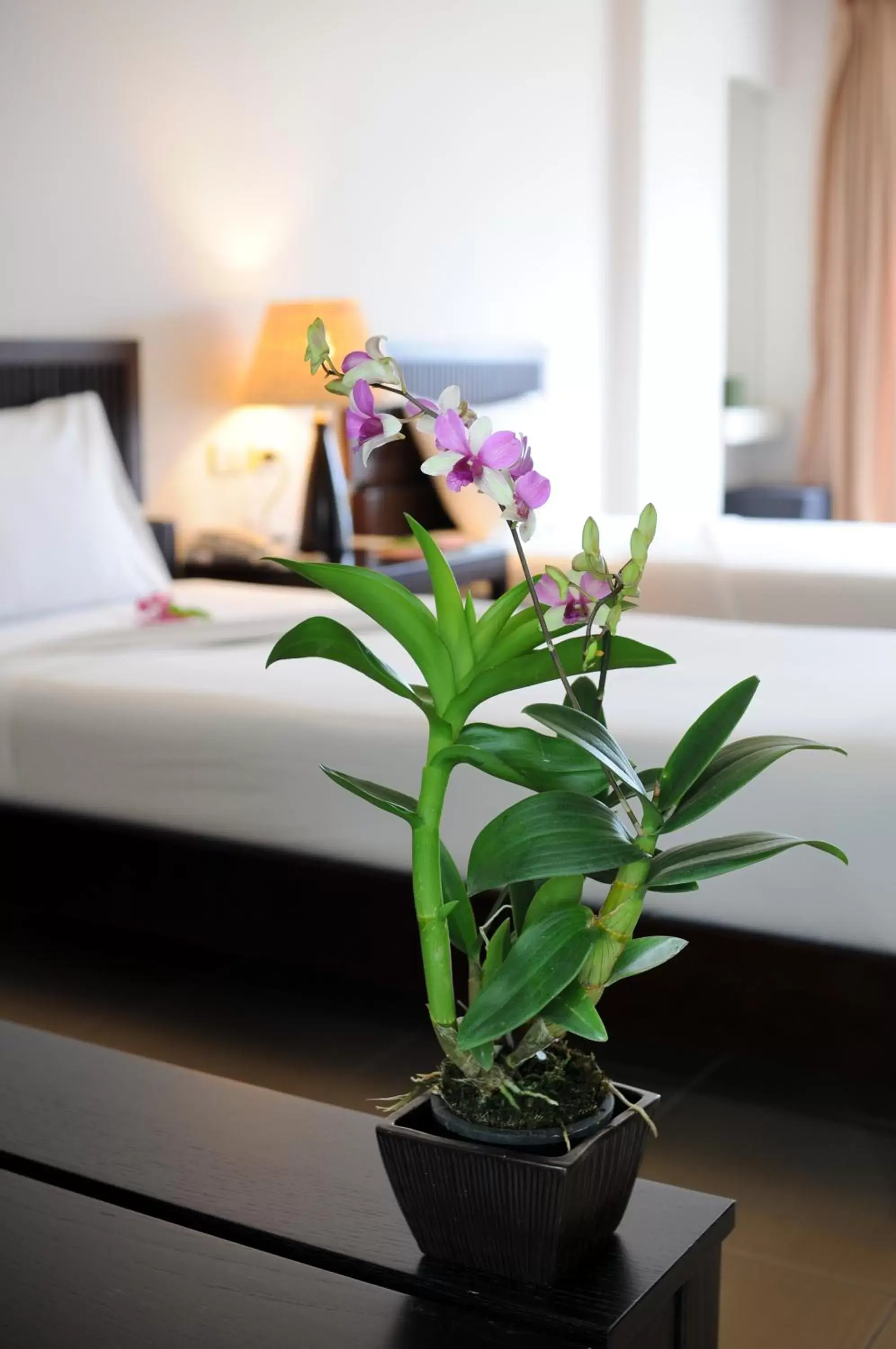 Decorative detail, Bed in Kasemsarn Hotel Chanthaburi