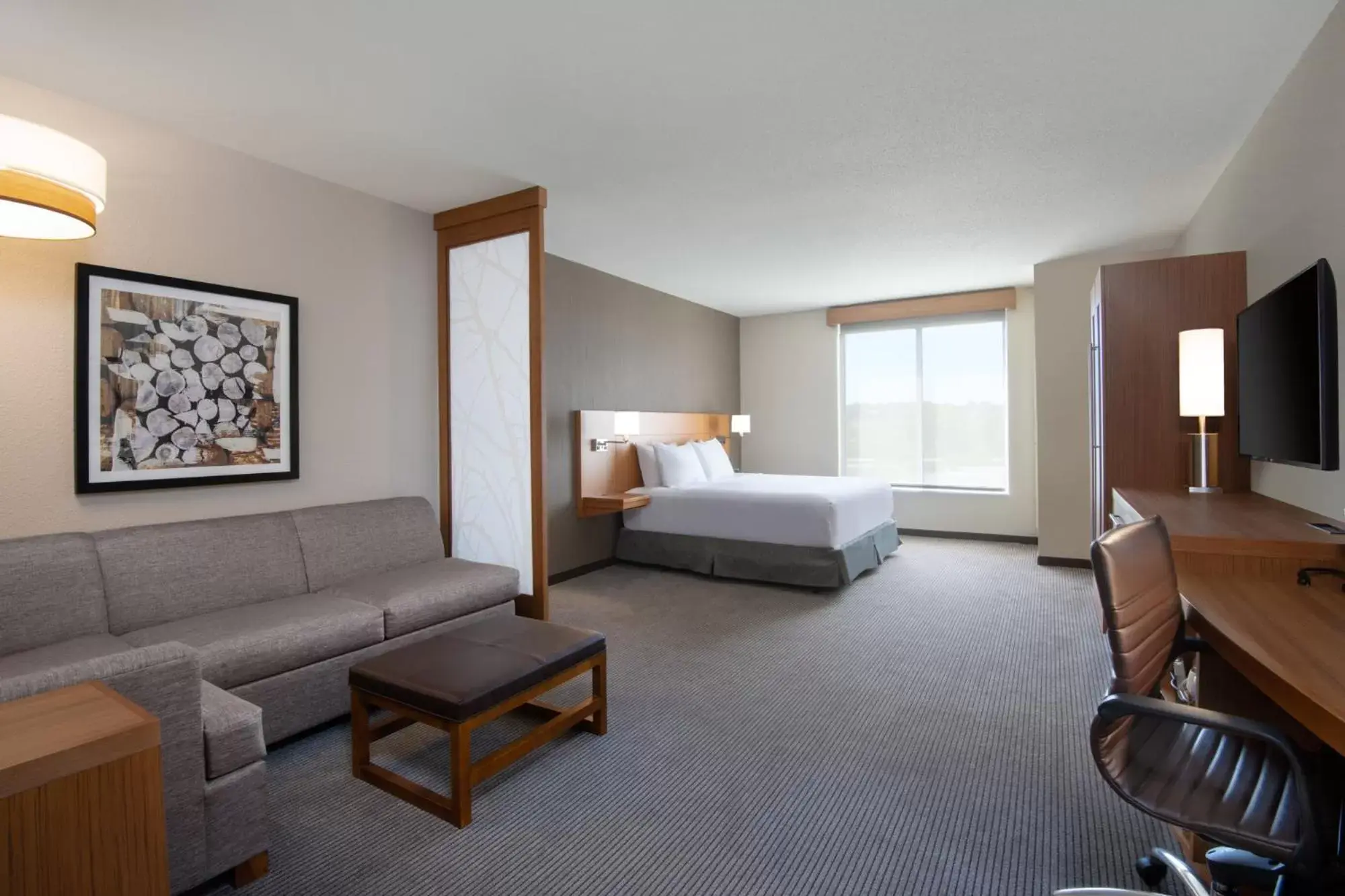 King Room with Sofa Bed and Accessible Tub - Disability Access in Hyatt Place Westminster Denver