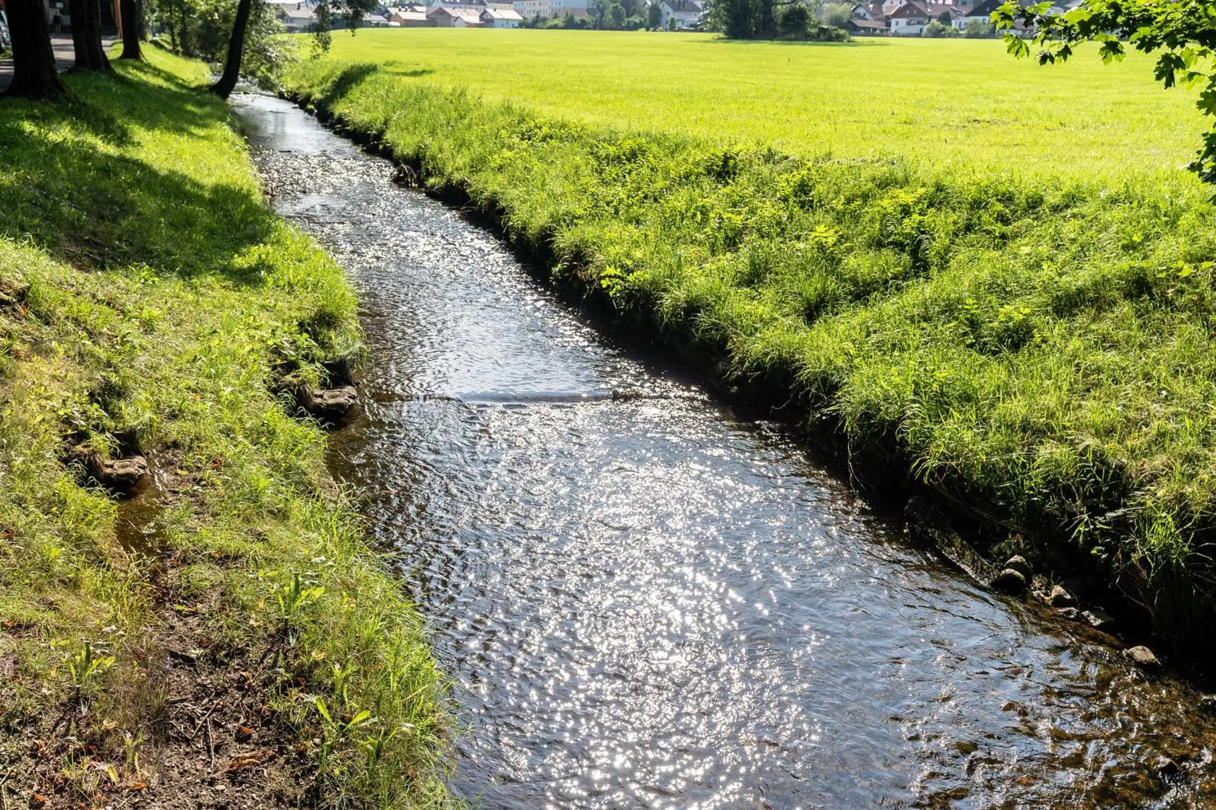 Natural landscape in Hotel-Gasthof Zum Dragoner