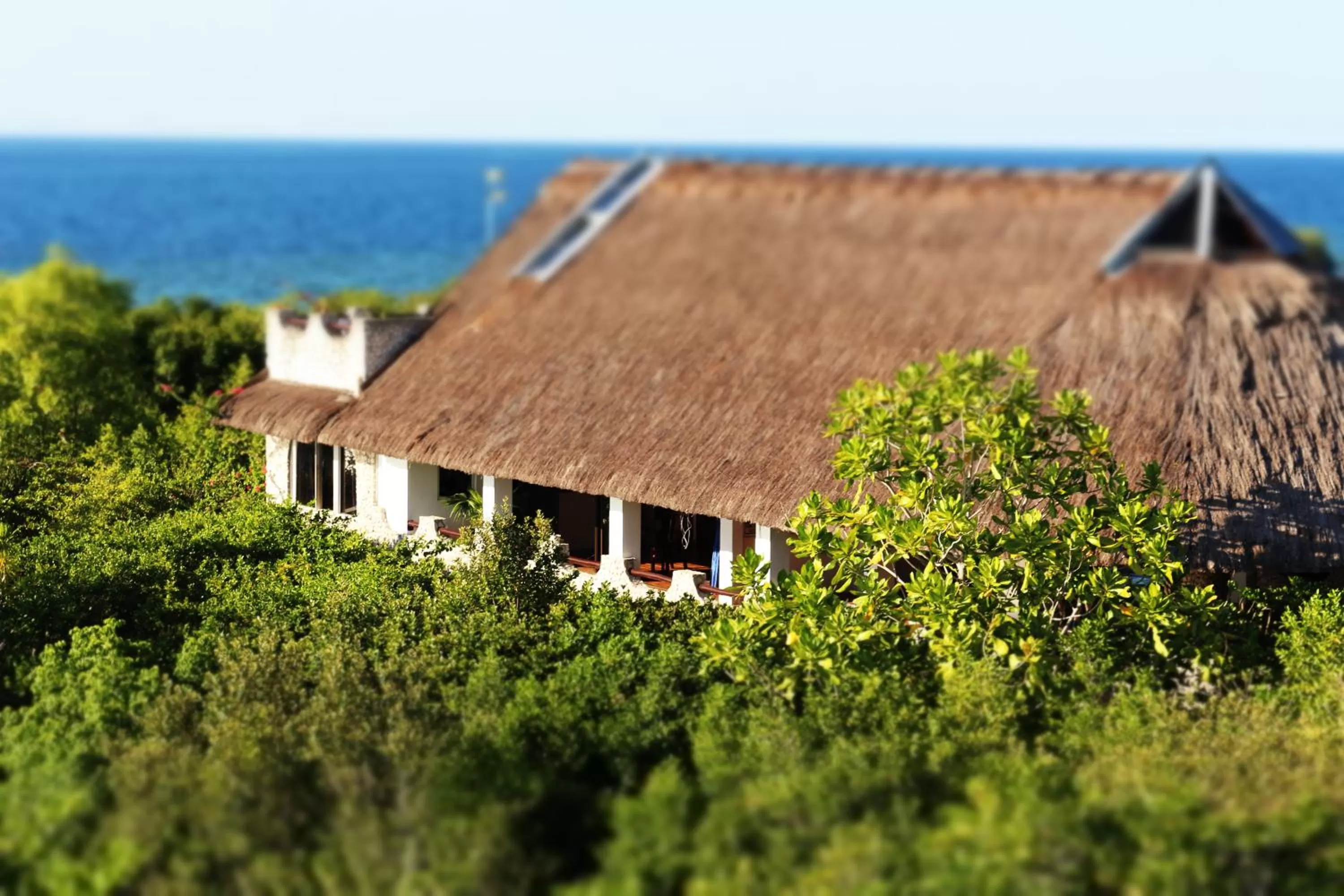 Photo of the whole room in The Blue Orchid Resort