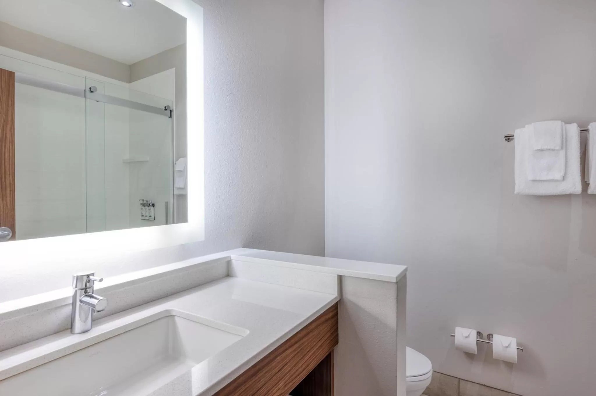 Bathroom in Holiday Inn Express Troy by IHG