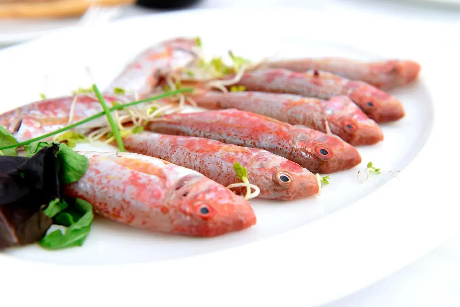 Restaurant/places to eat in Hotel Cala Del Porto Restaurant/places to eat in Hotel Cala Del Porto