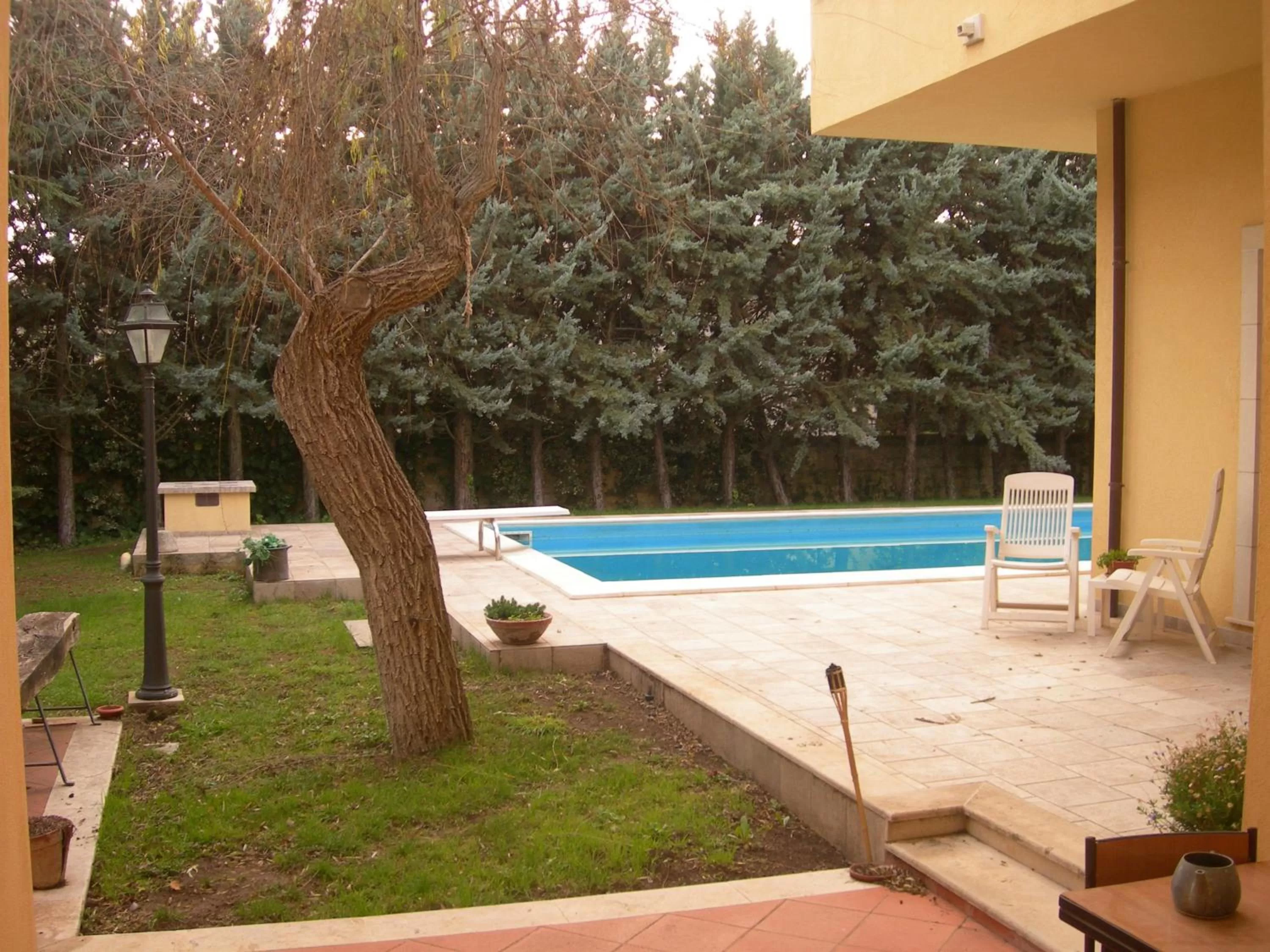Decorative detail, Swimming Pool in B&B Rollo Garden