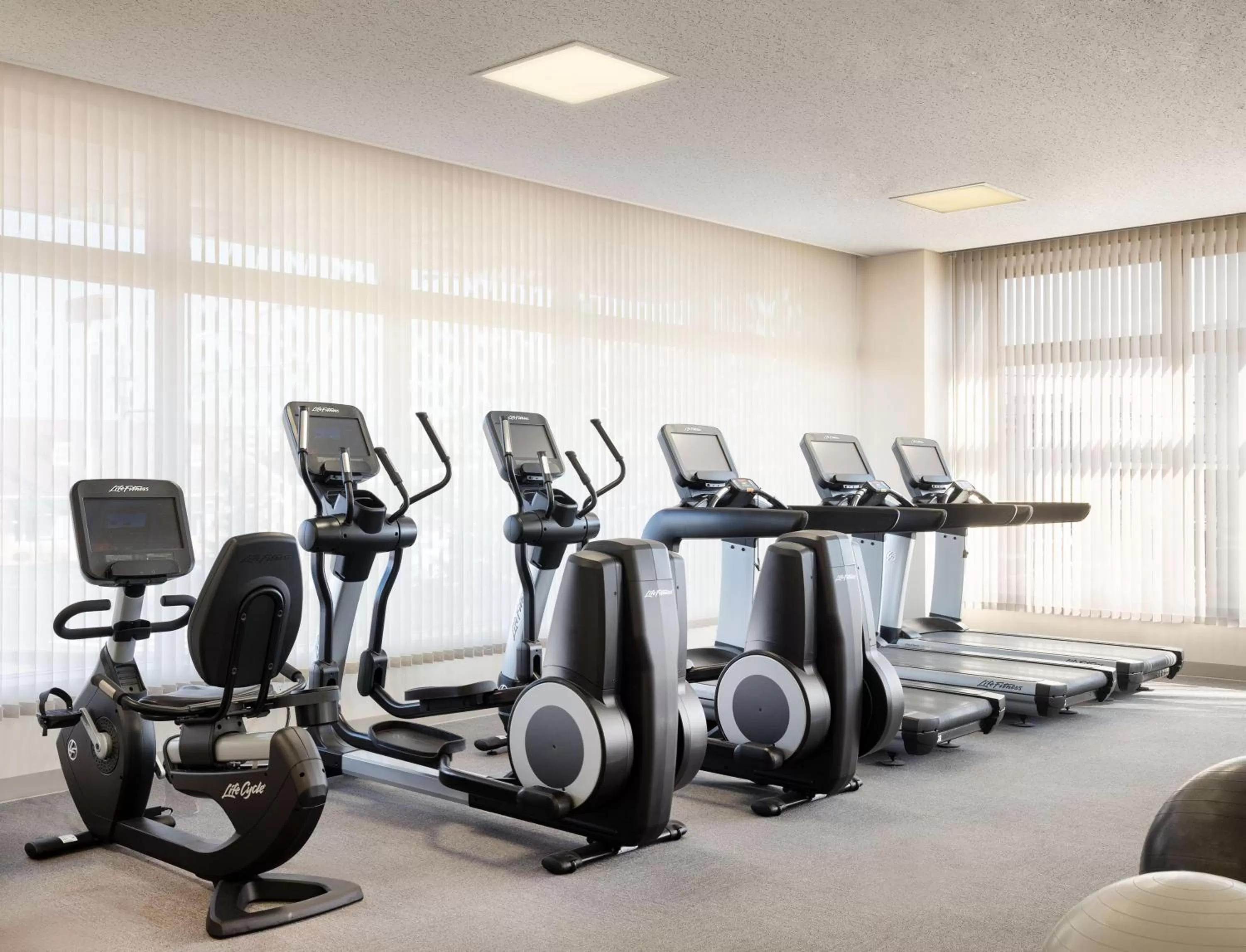 Fitness centre/facilities in ANA Crowne Plaza Chitose by IHG