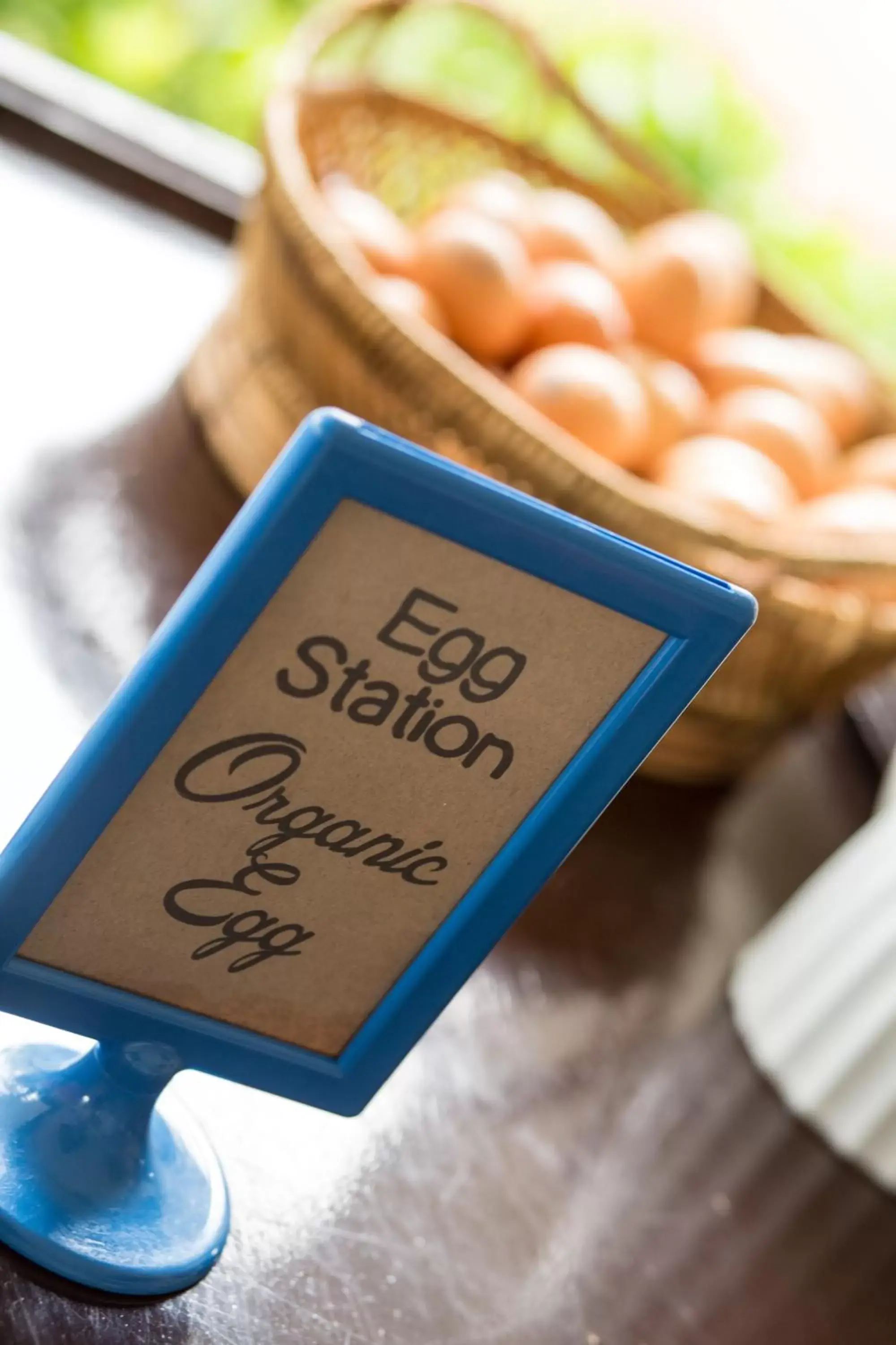 Restaurant/places to eat in Dolphin Bay Beach Resort Restaurant/places to eat in Dolphin Bay Beach Resort