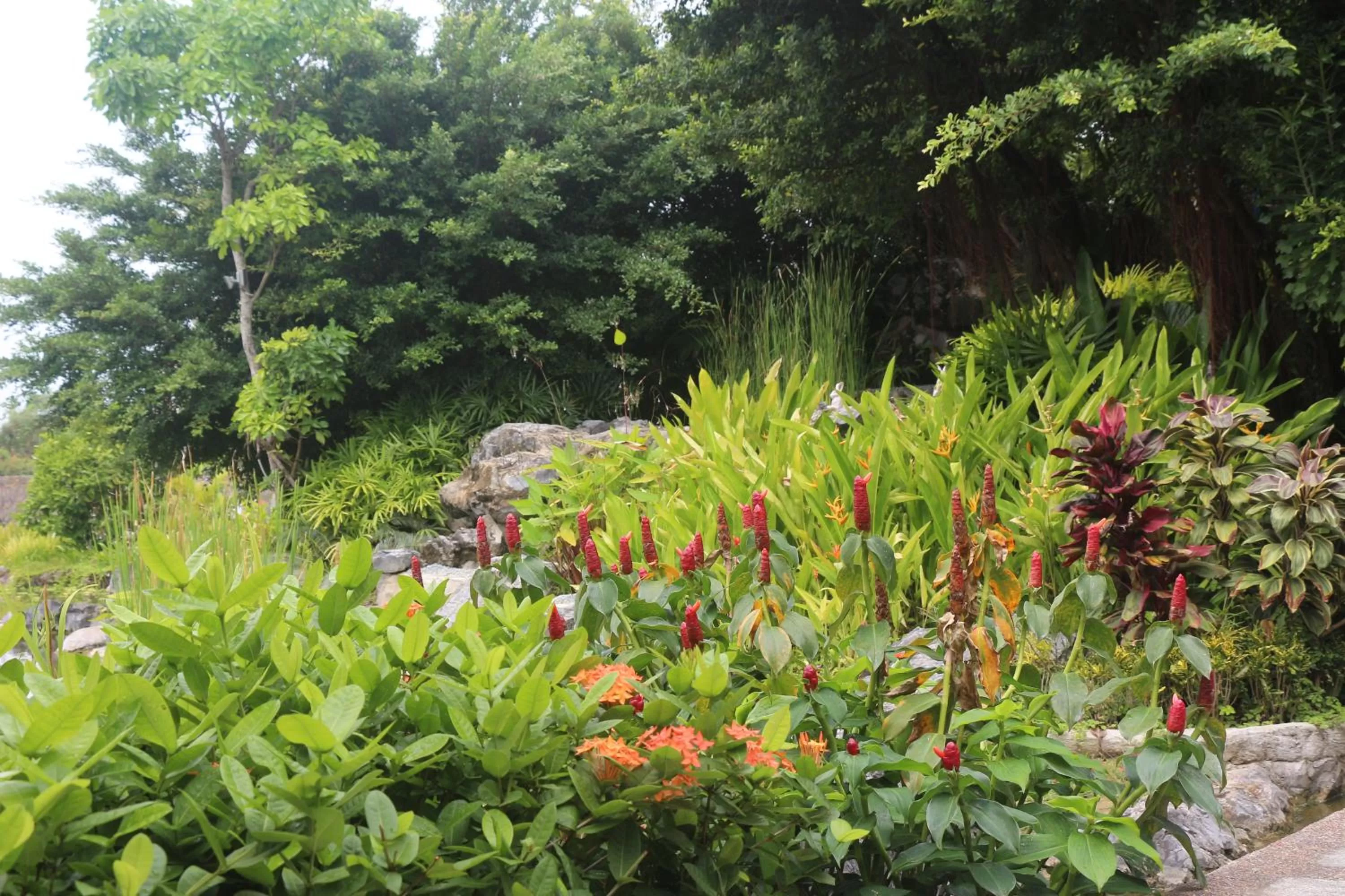 Garden in Try Palace Resort Kep