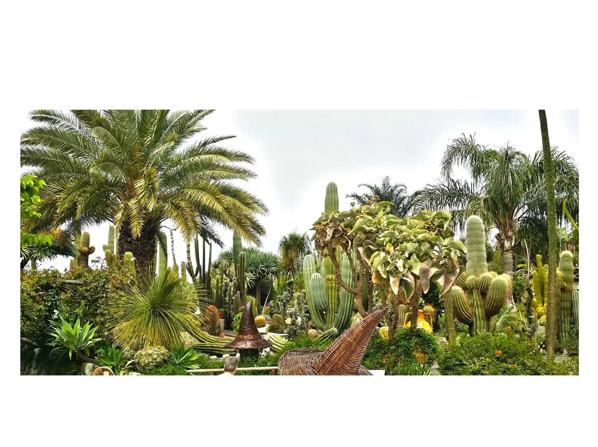 Garden in Villa Ravino Aparthotel