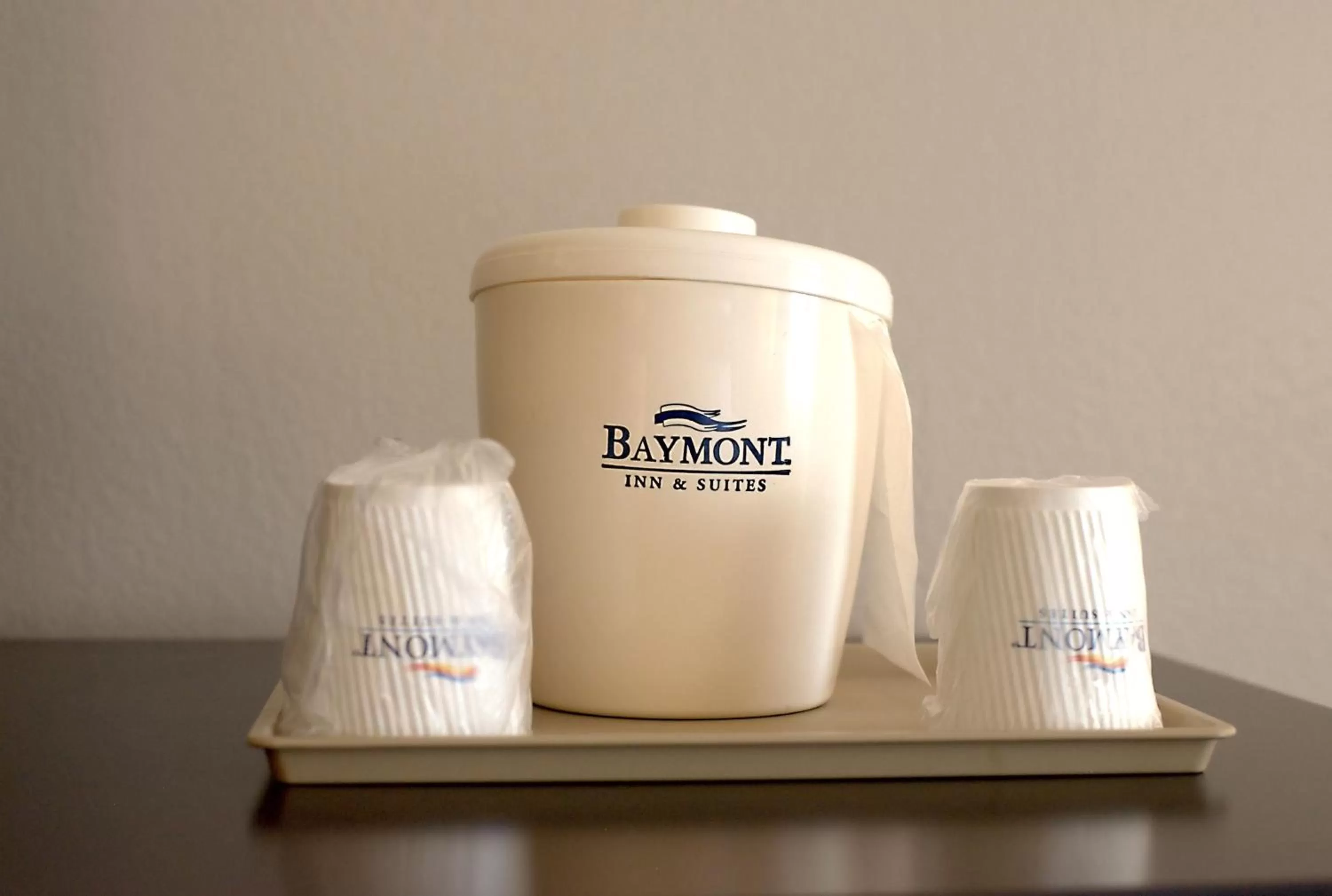 Deluxe King Suite in Baymont by Wyndham Cambridge