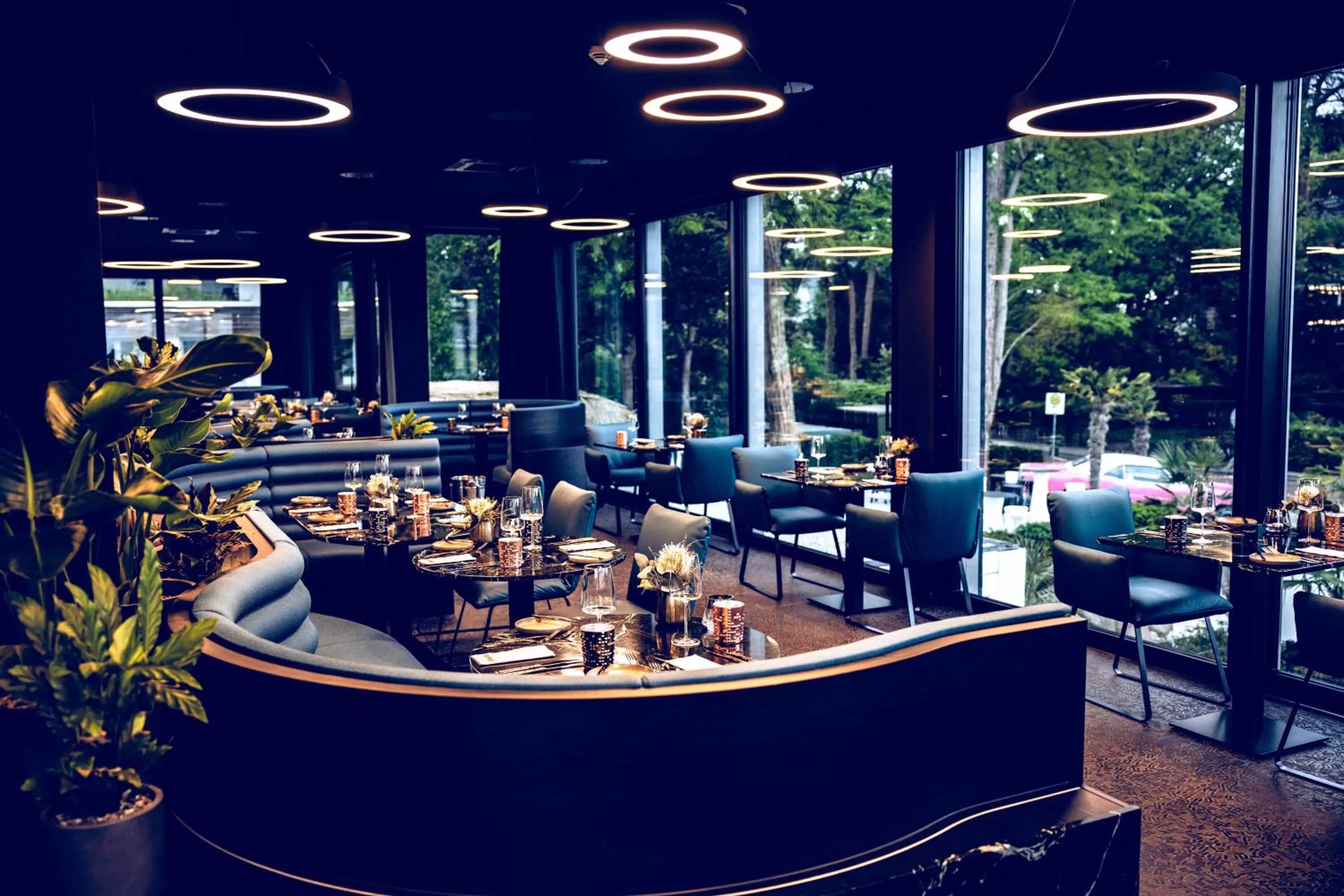 Restaurant/places to eat in The Flamingo