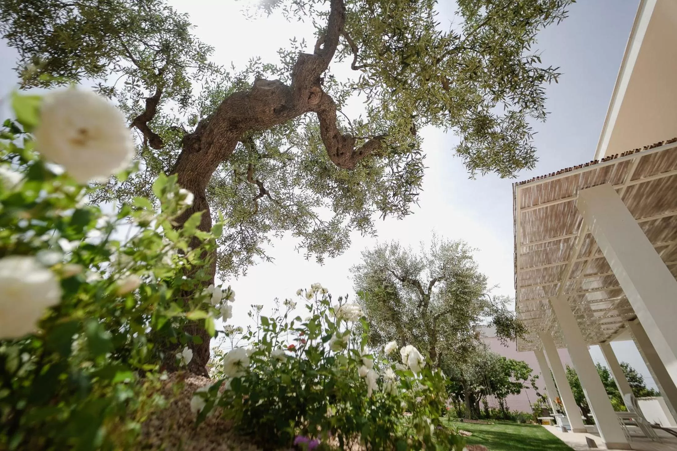 ALMASOL - Charme Experience