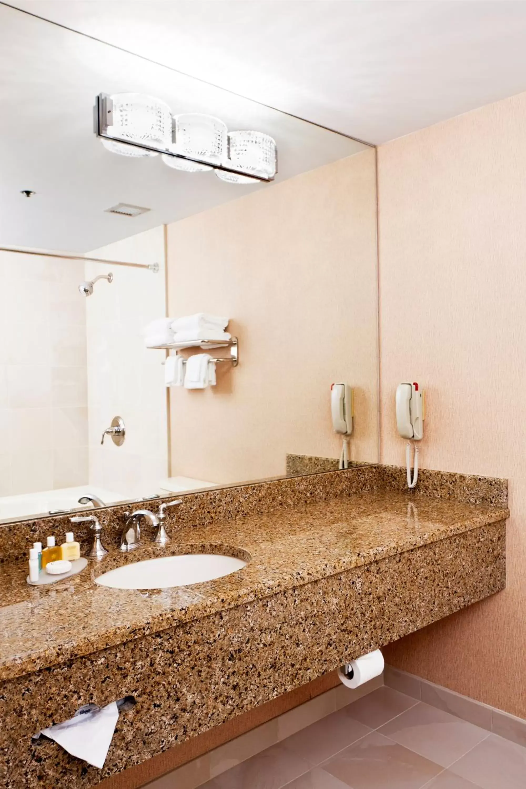 Bathroom in Ann Arbor Regent Hotel and Suites