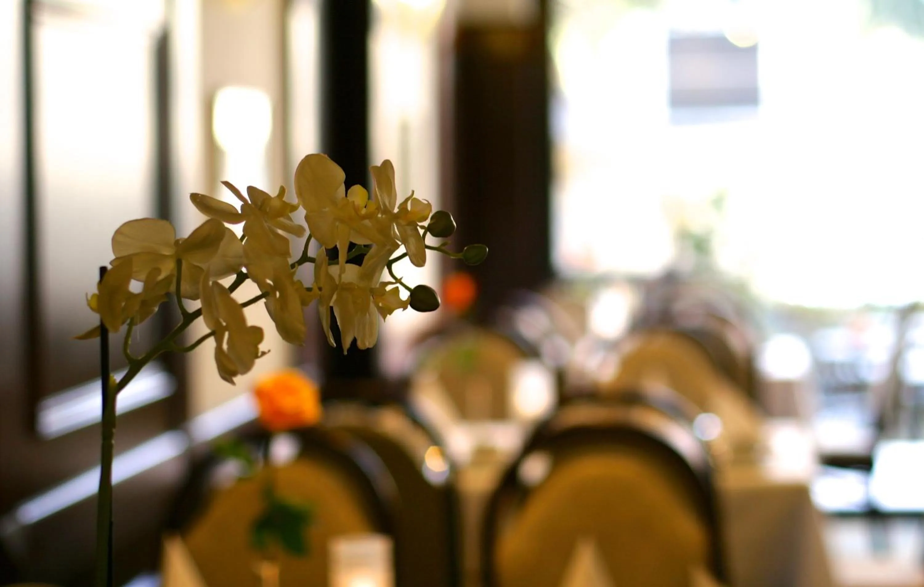 Restaurant/places to eat in Hotel Imperial