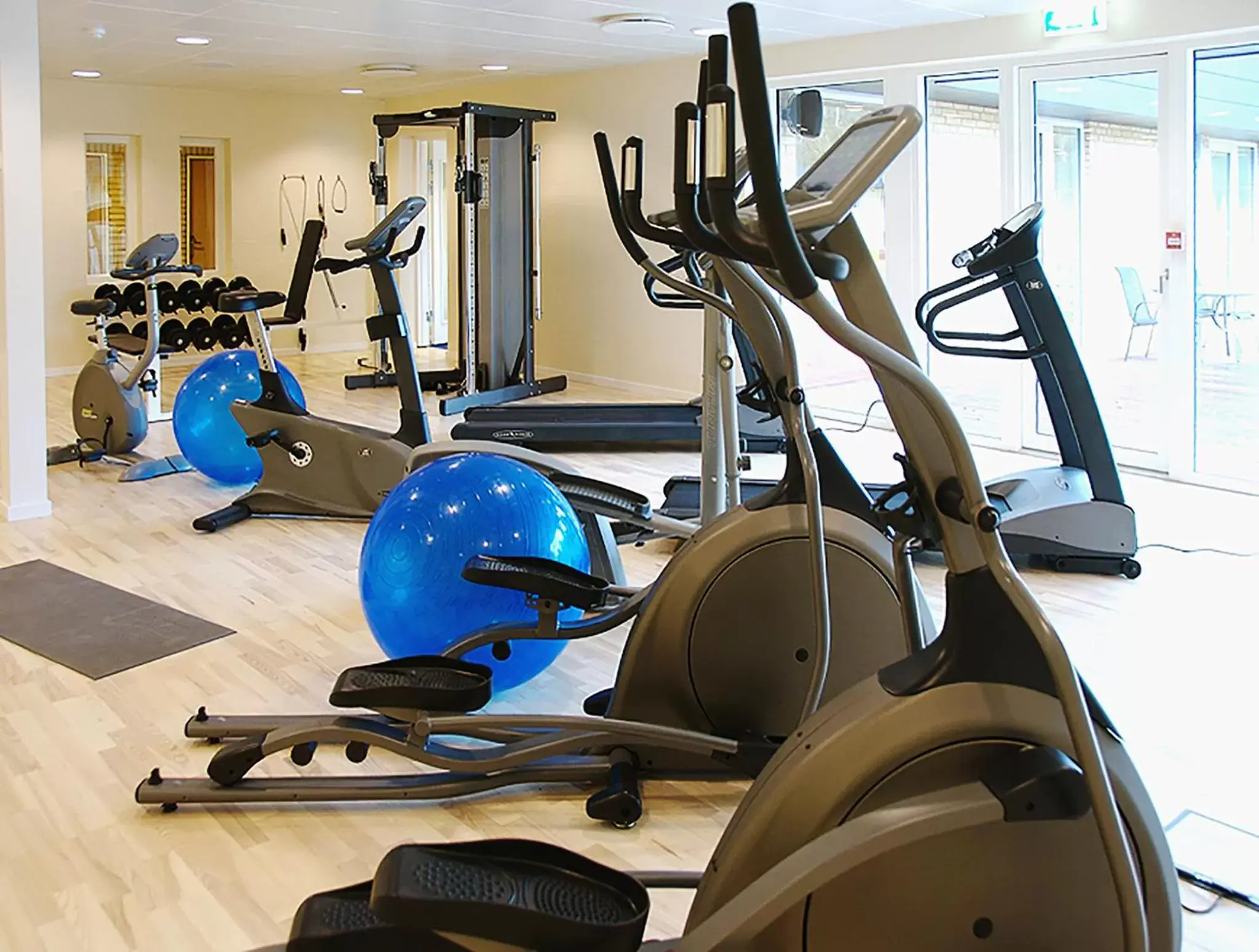 Fitness centre/facilities, Fitness Center/Facilities in Hotel Marina