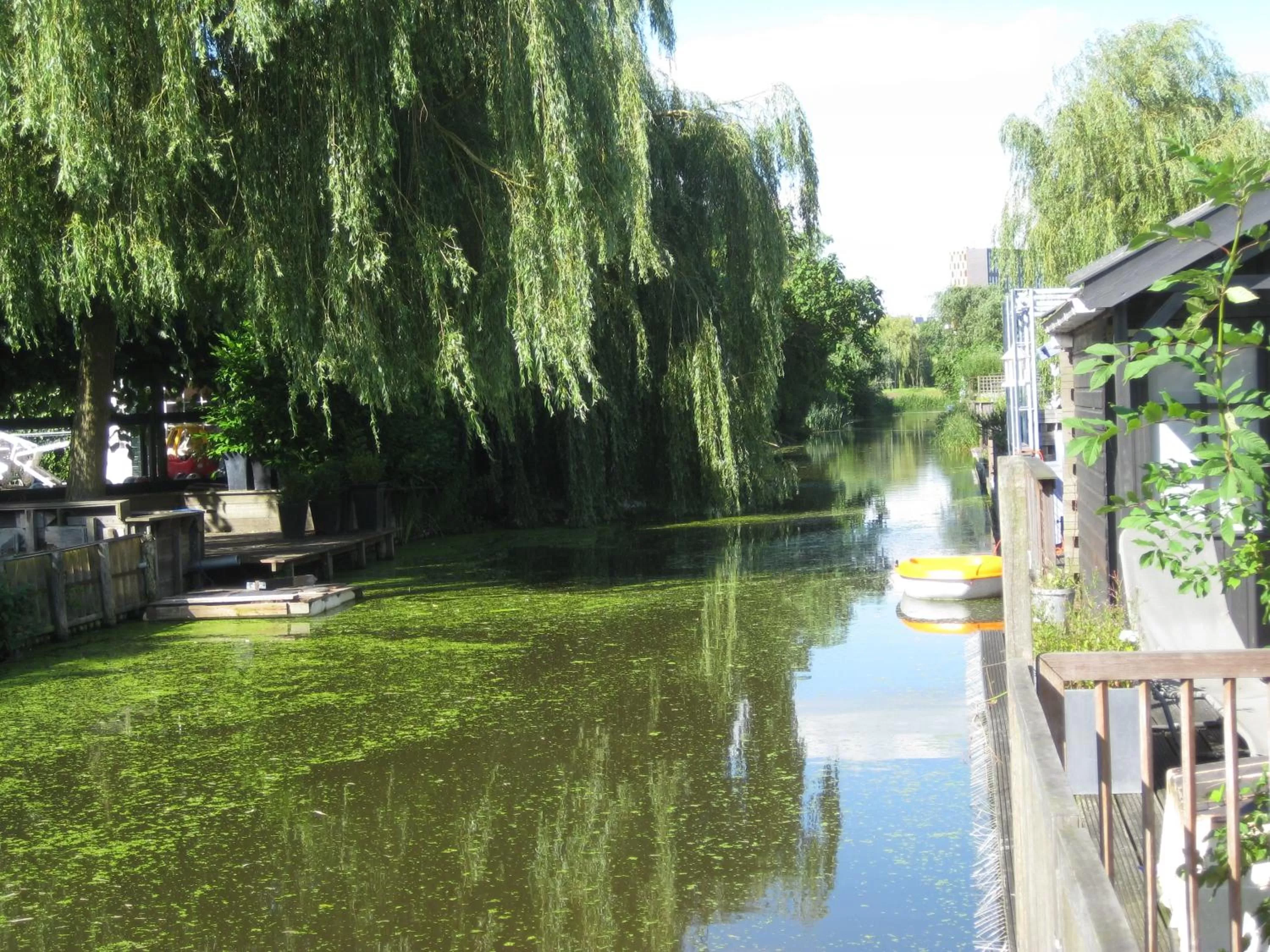 View (from property/room) in Quarenta Studio