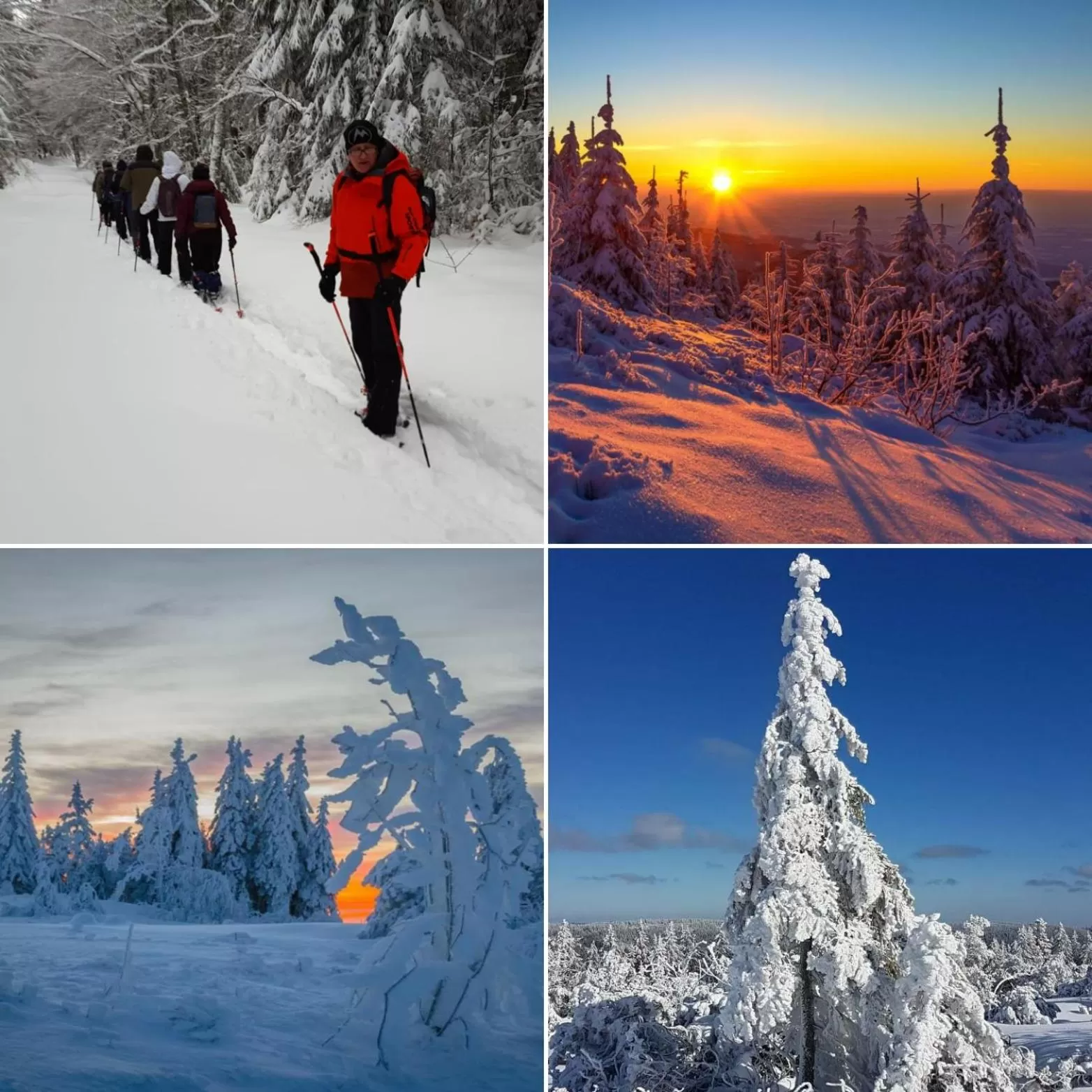 Natural landscape in Hotel Restaurant Kniebishöhe