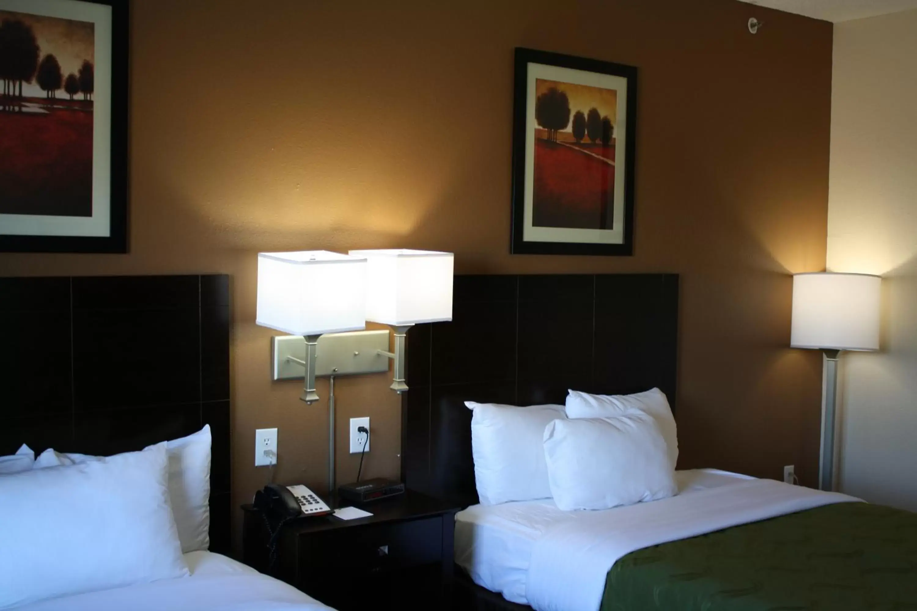 Bedroom, Bed in Quality Inn & Suites Wichita Falls I-44