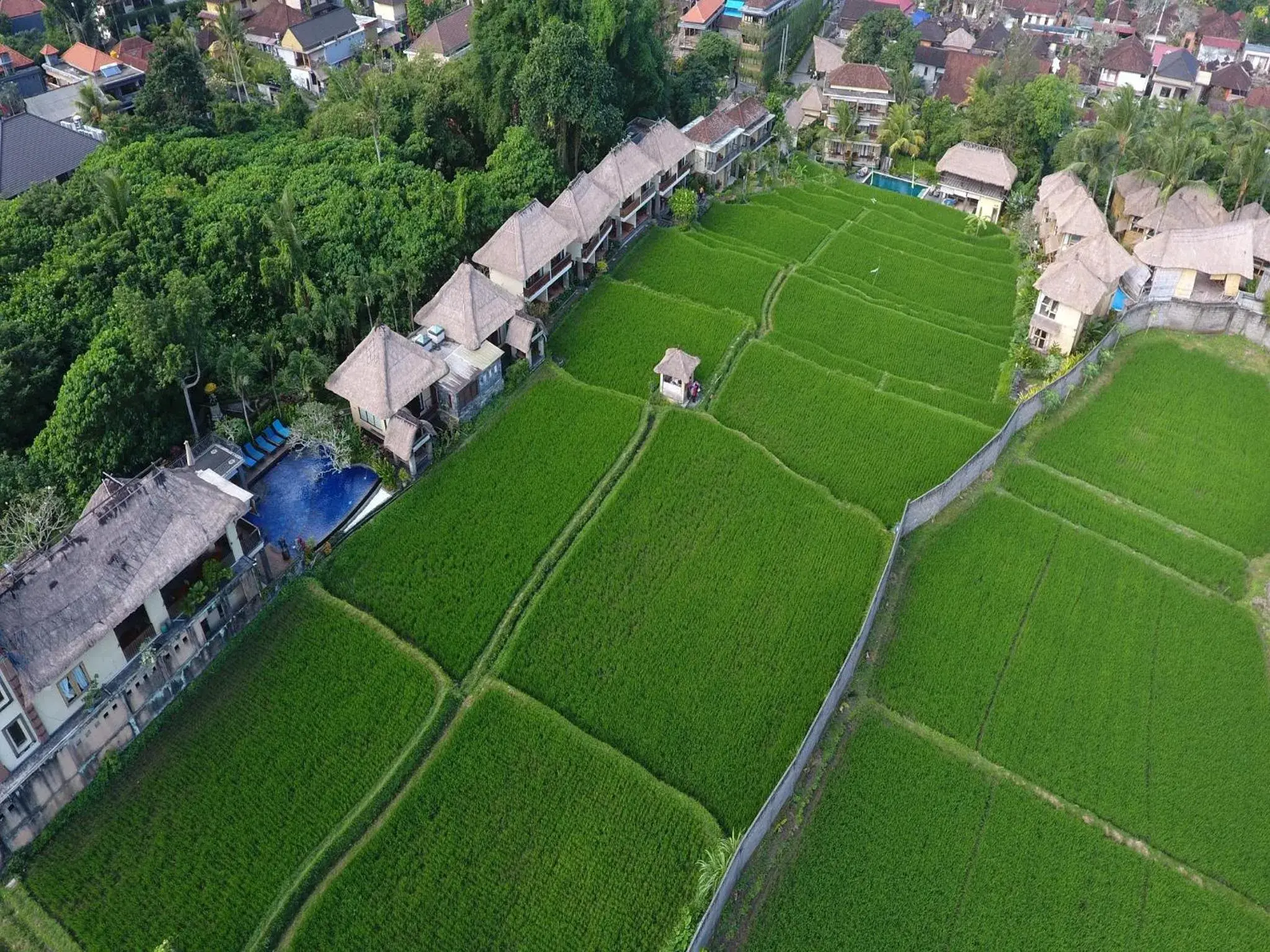 View (from property/room), Bird's-eye View in Biyukukung Suite & Spa