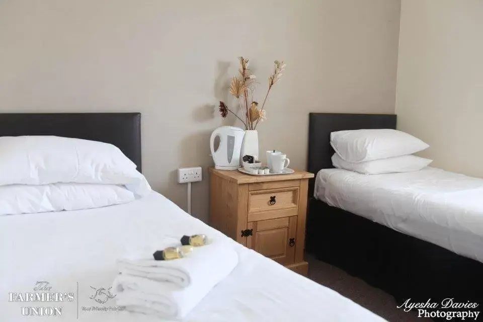 Standard Twin Room in The Farmers Union Standard Twin Room in The Farmers Union