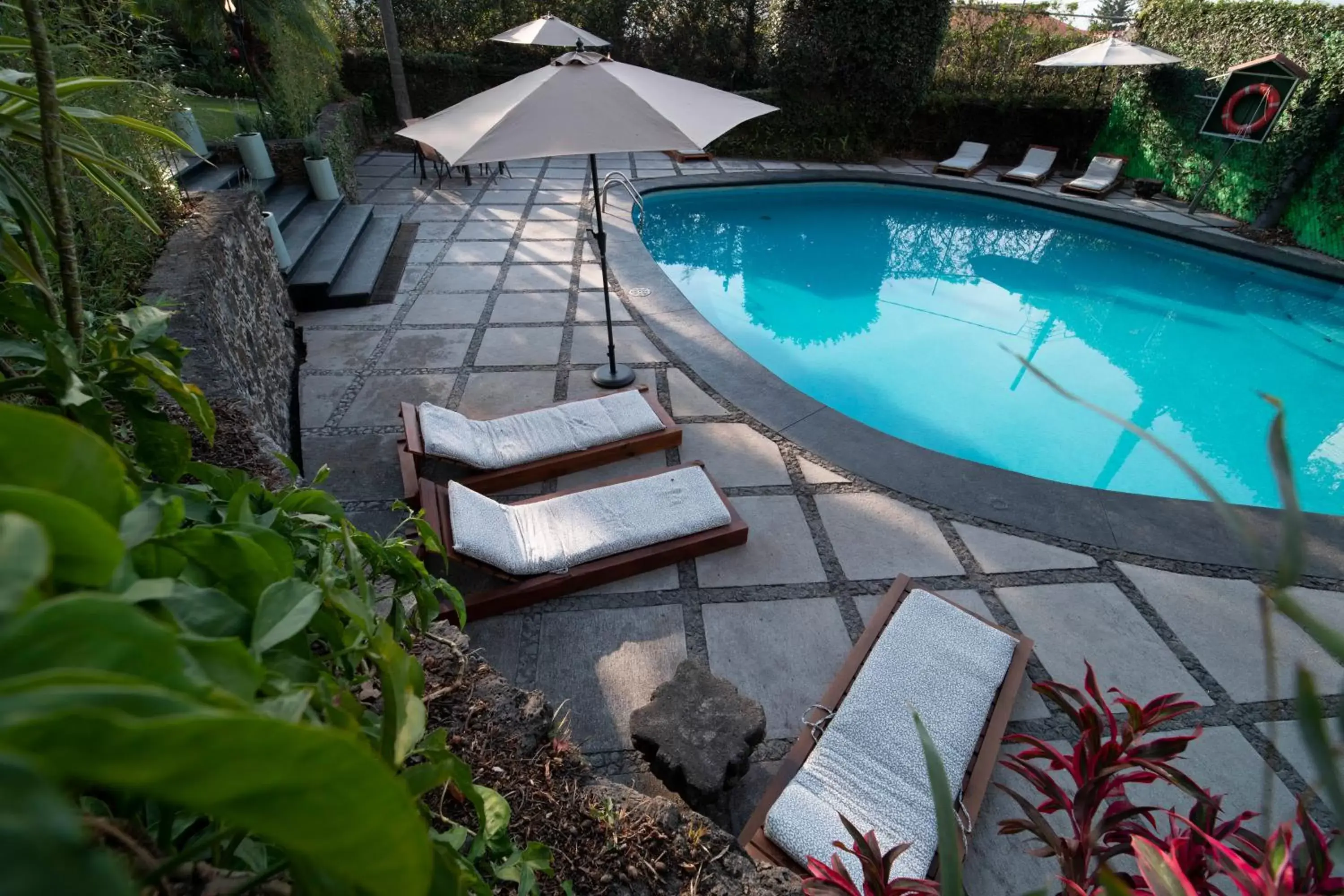 Pool view, Swimming Pool in Hotel Grand Vista Cuernavaca