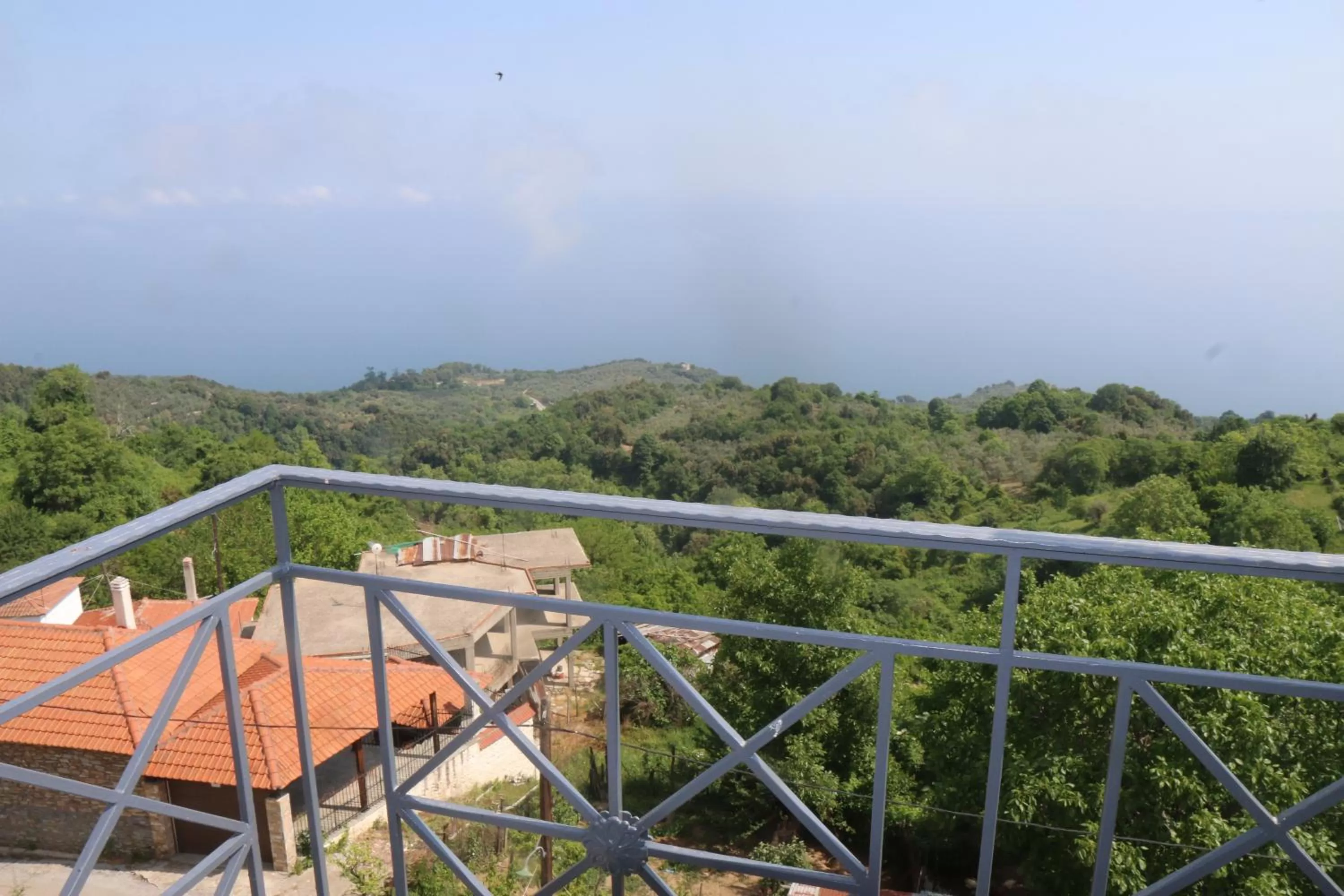 Day in Hotel Christina - Happy Days