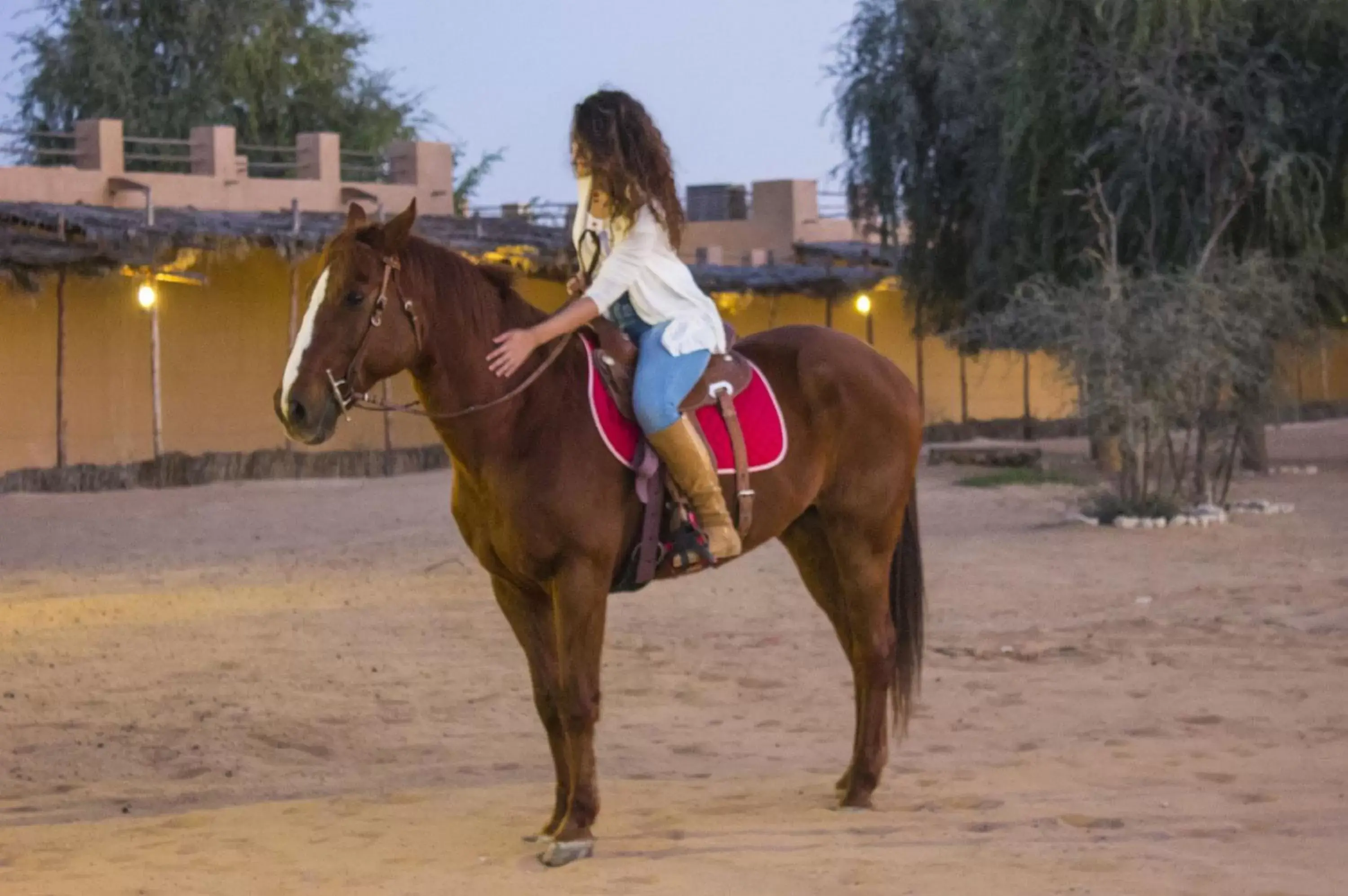 Activities, Horseback Riding in Telal Resort Al Ain