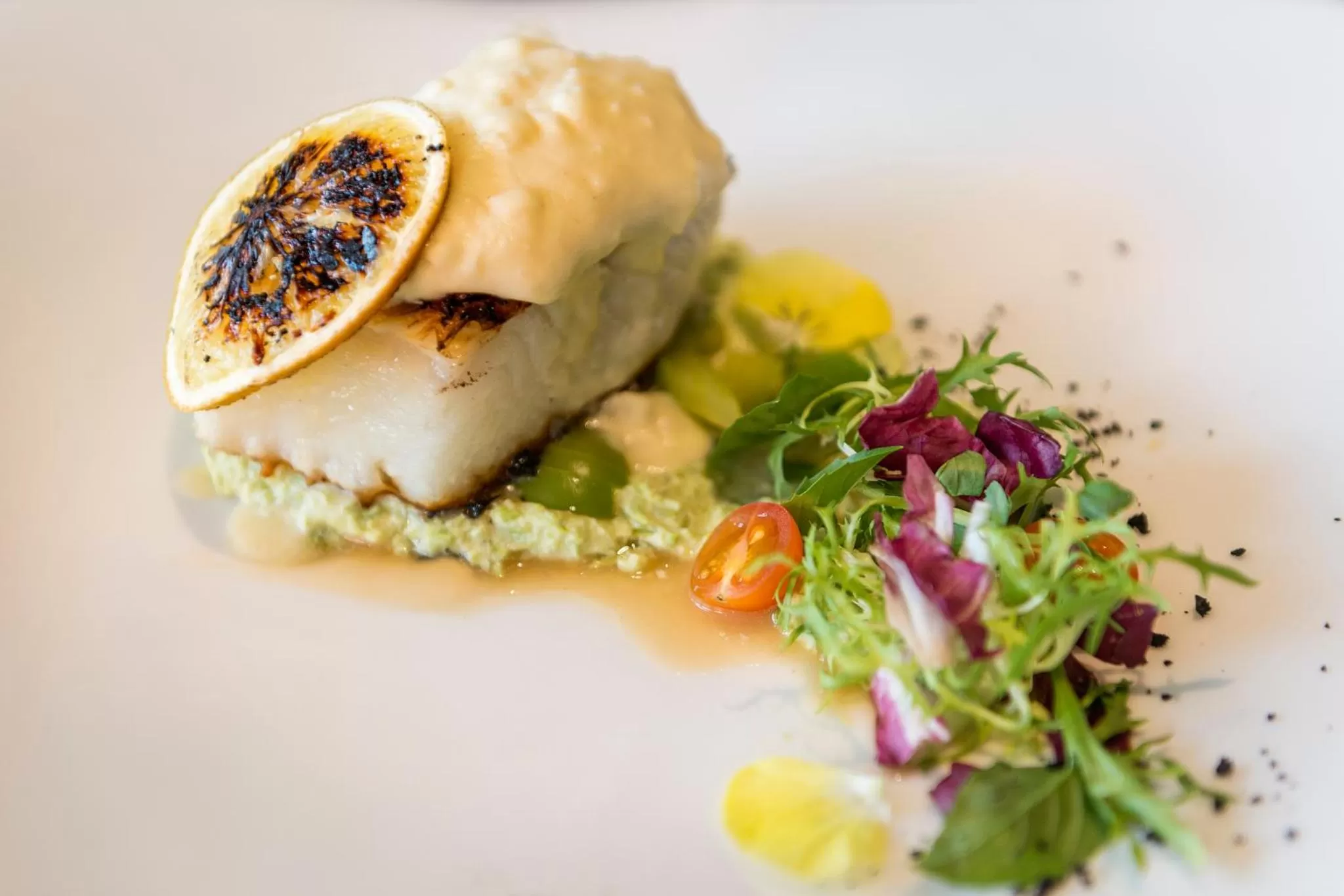 Food in Ocean Coral & Turquesa All Inclusive