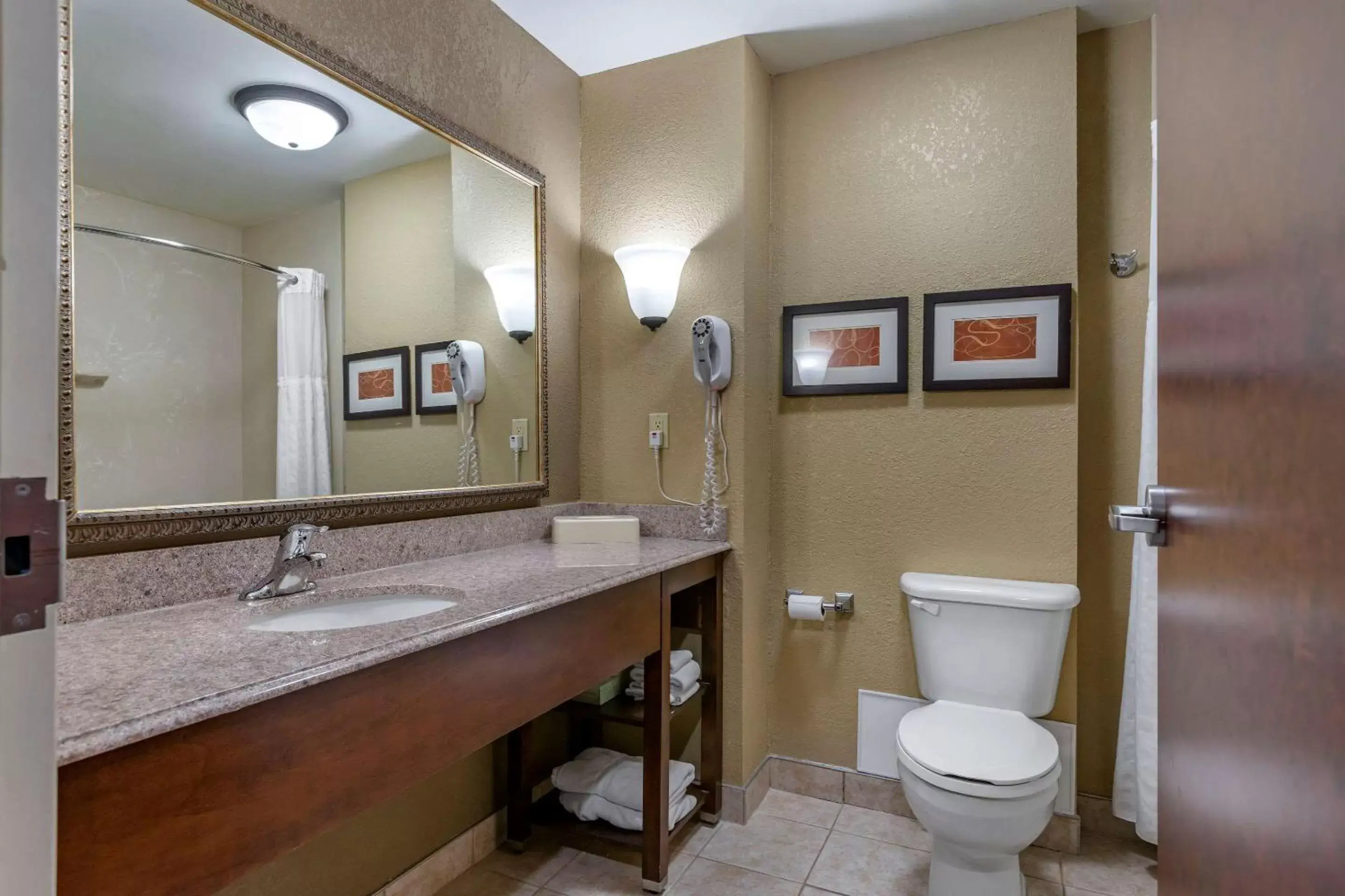 Bathroom in Comfort Suites Grand Rapids South
