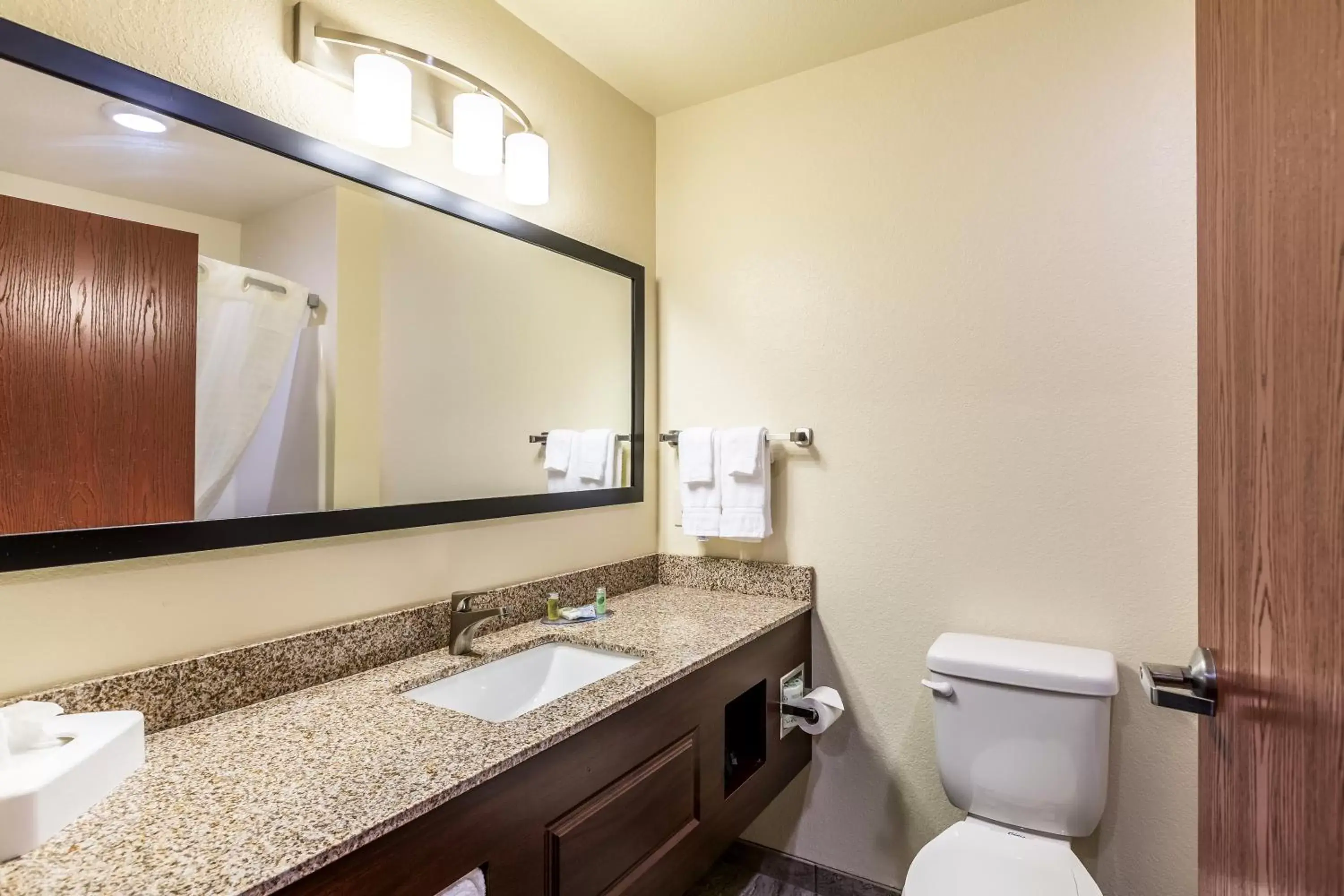 Shower, Bathroom in Cobblestone Inn & Suites Fairfield Bay