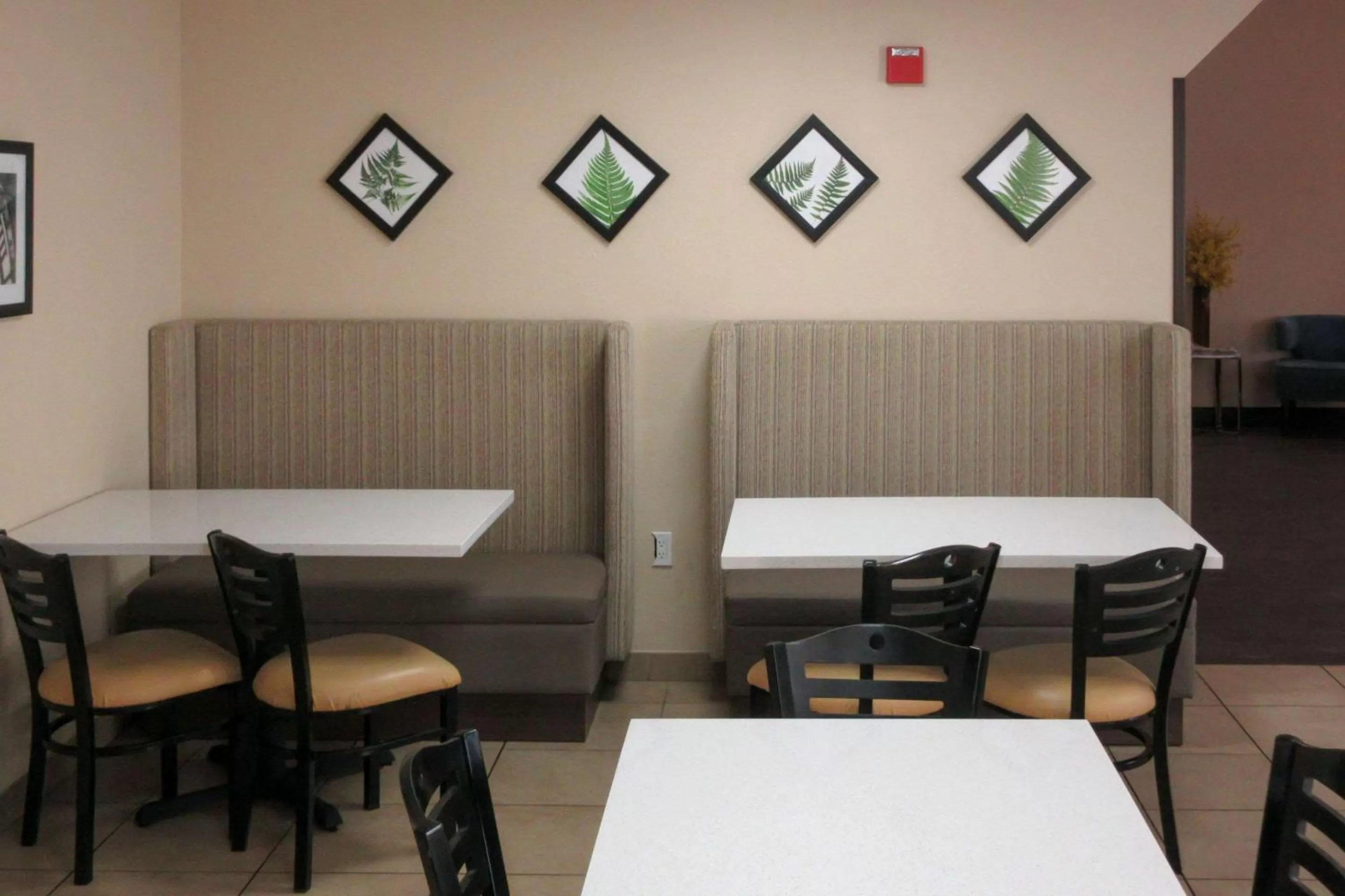 Restaurant/places to eat in Sleep Inn & Suites Ft Lauderdale International Airport