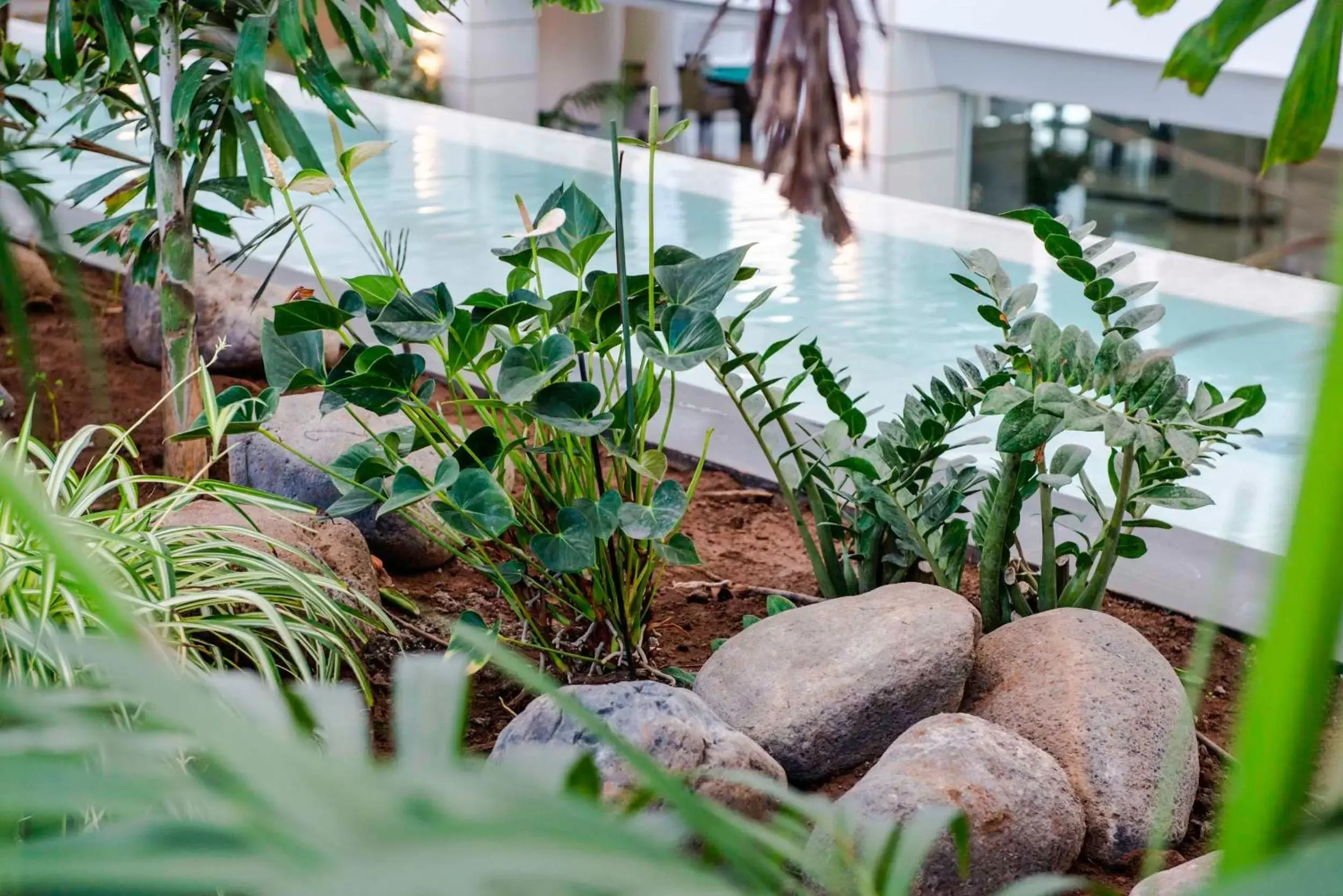 Decorative detail in Spring Hotel Vulcano