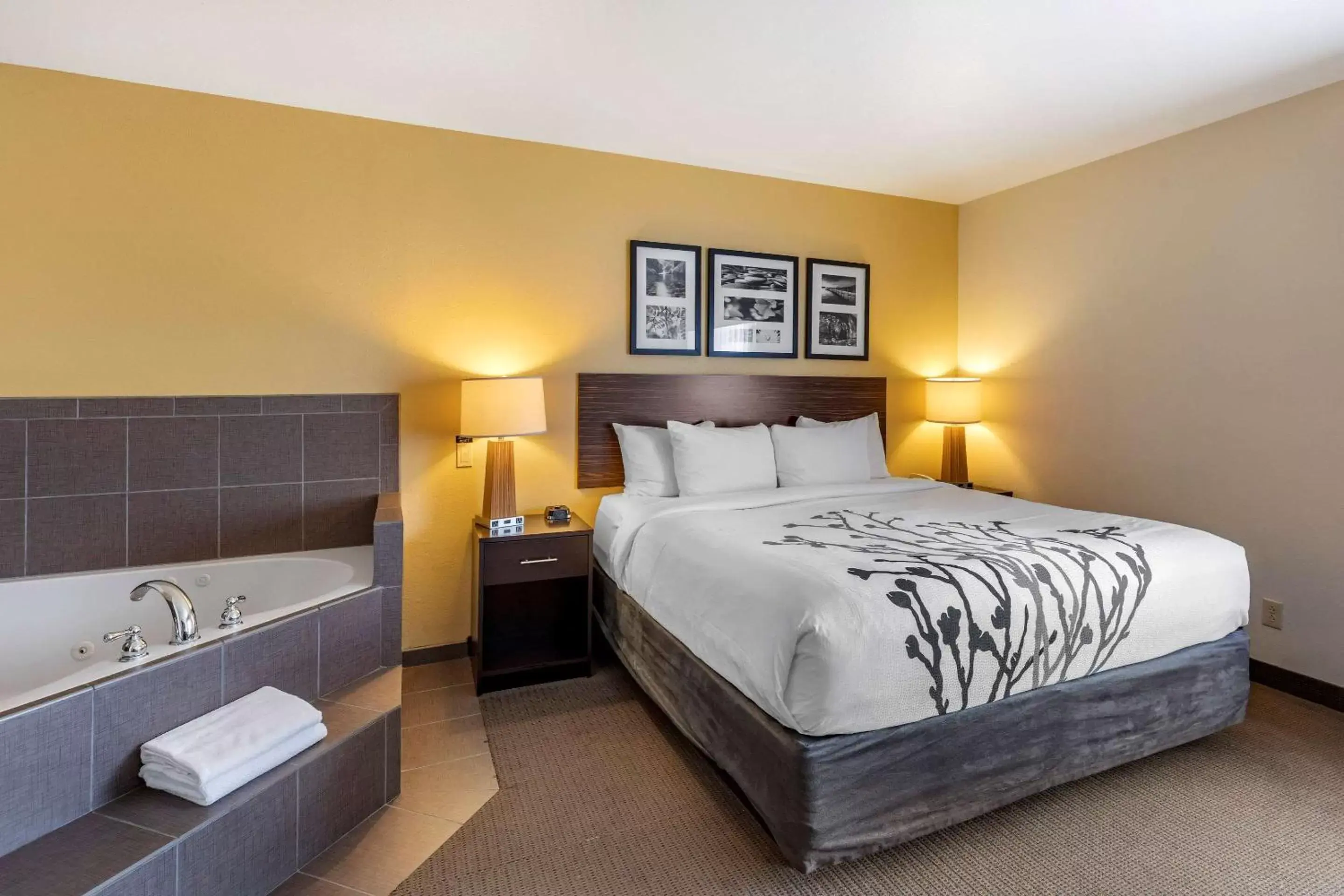 Photo of the whole room, Bed in Sleep Inn & Suites Miles City
