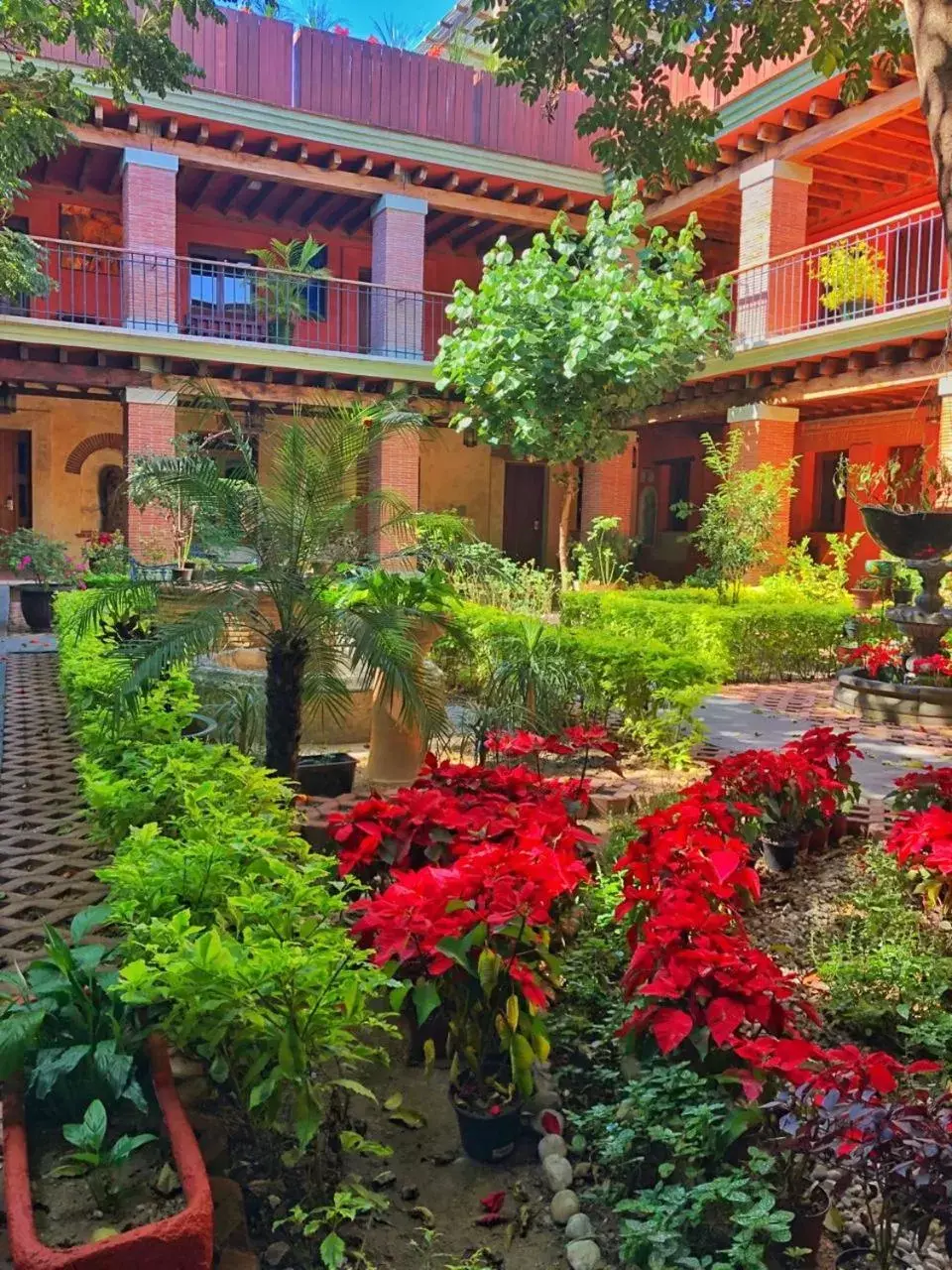 Garden, Property Building in Hotel Siglo XVII Art Gallery