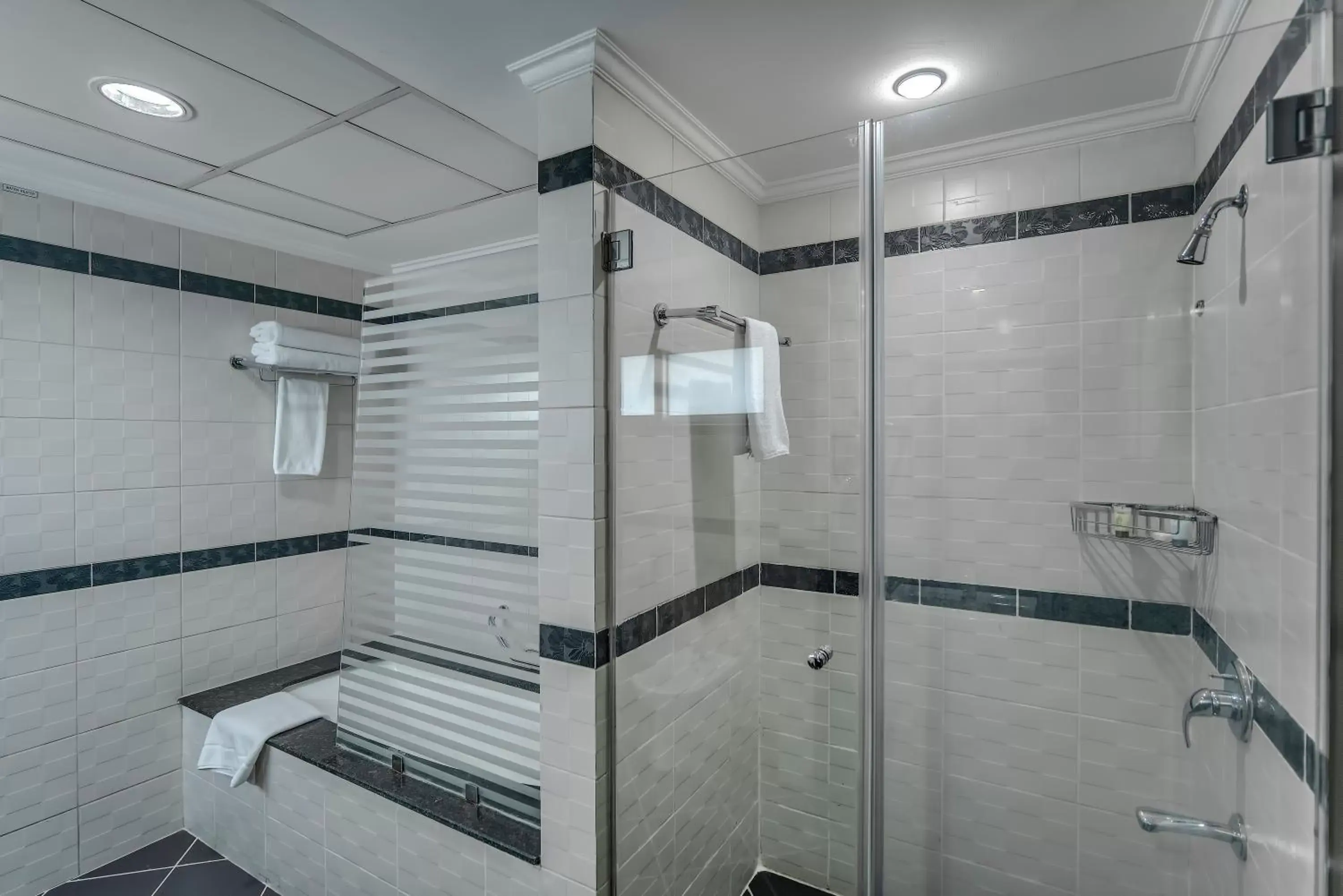 Bathroom in Icon Delux Hotel Apartments Al Barsha - Formerly Abidos Bathroom in Icon Delux Hotel Apartments Al Barsha - Formerly Abidos