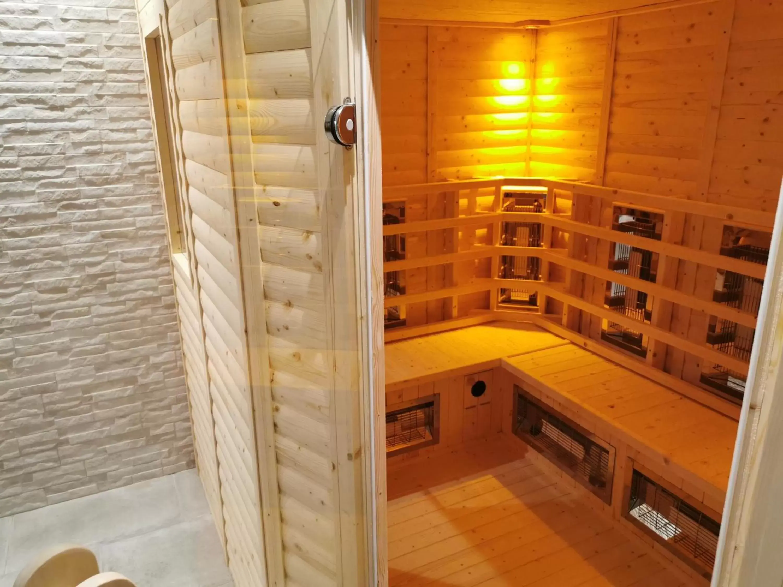 Sauna, Bathroom in The Beeches Hotel & Leisure Club