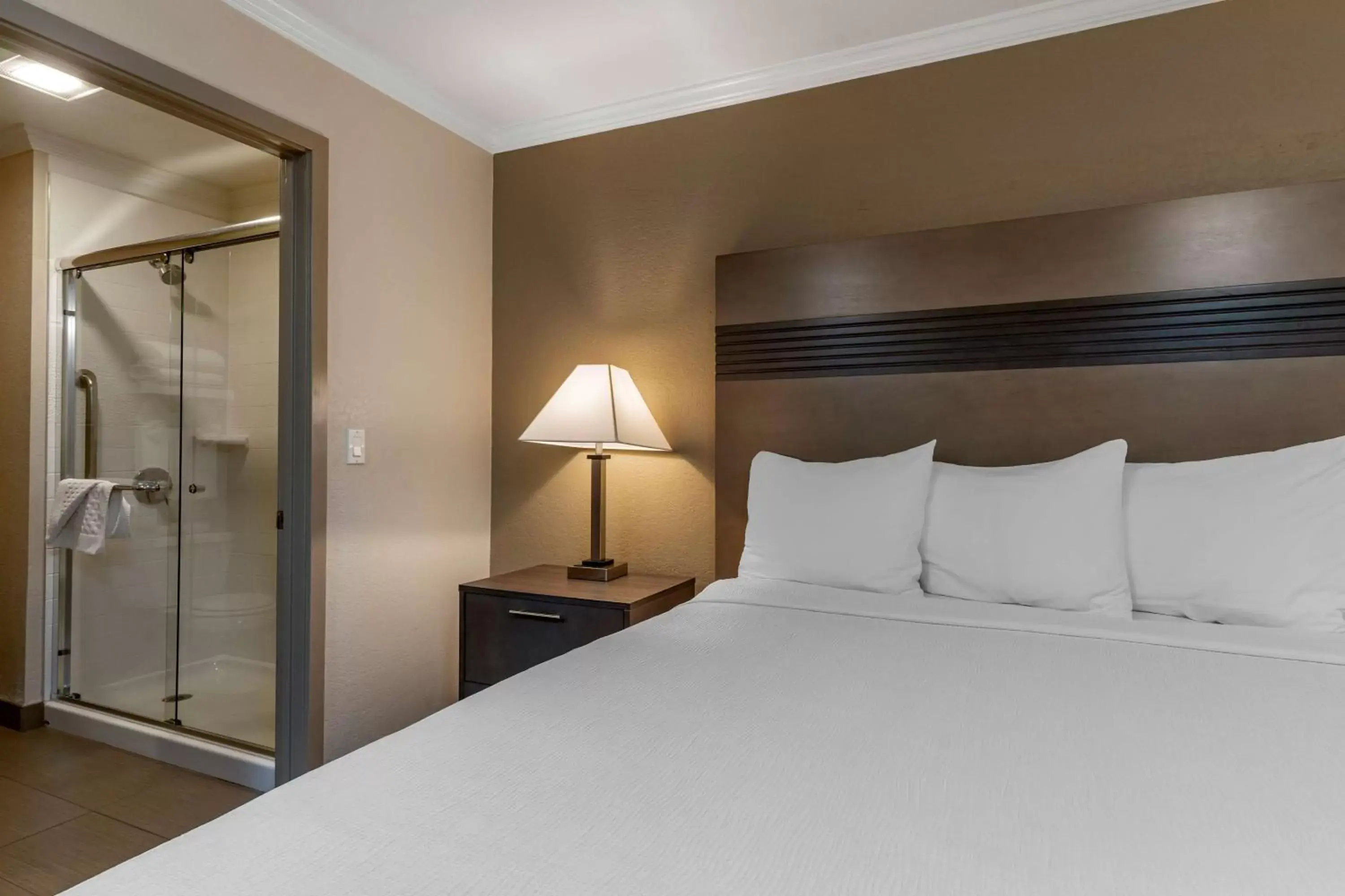 Bedroom, Bed in Best Western Silicon Valley Inn Bedroom, Bed in Best Western Silicon Valley Inn