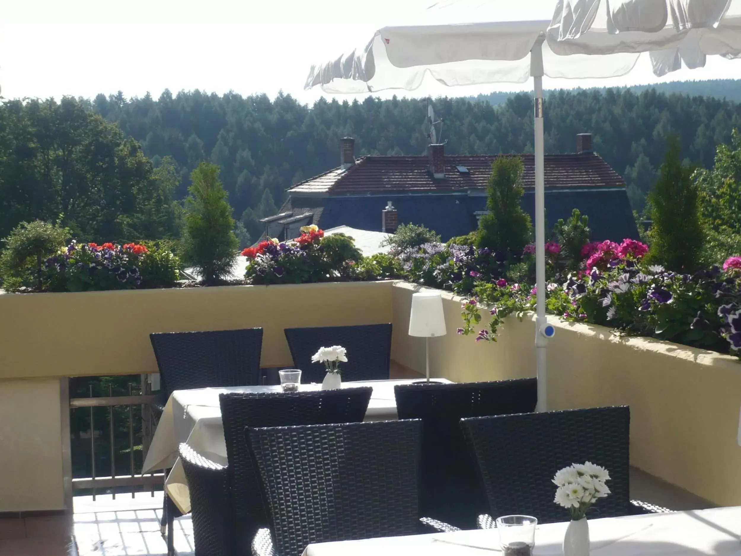 Balcony/Terrace in Hotel Falkenstein