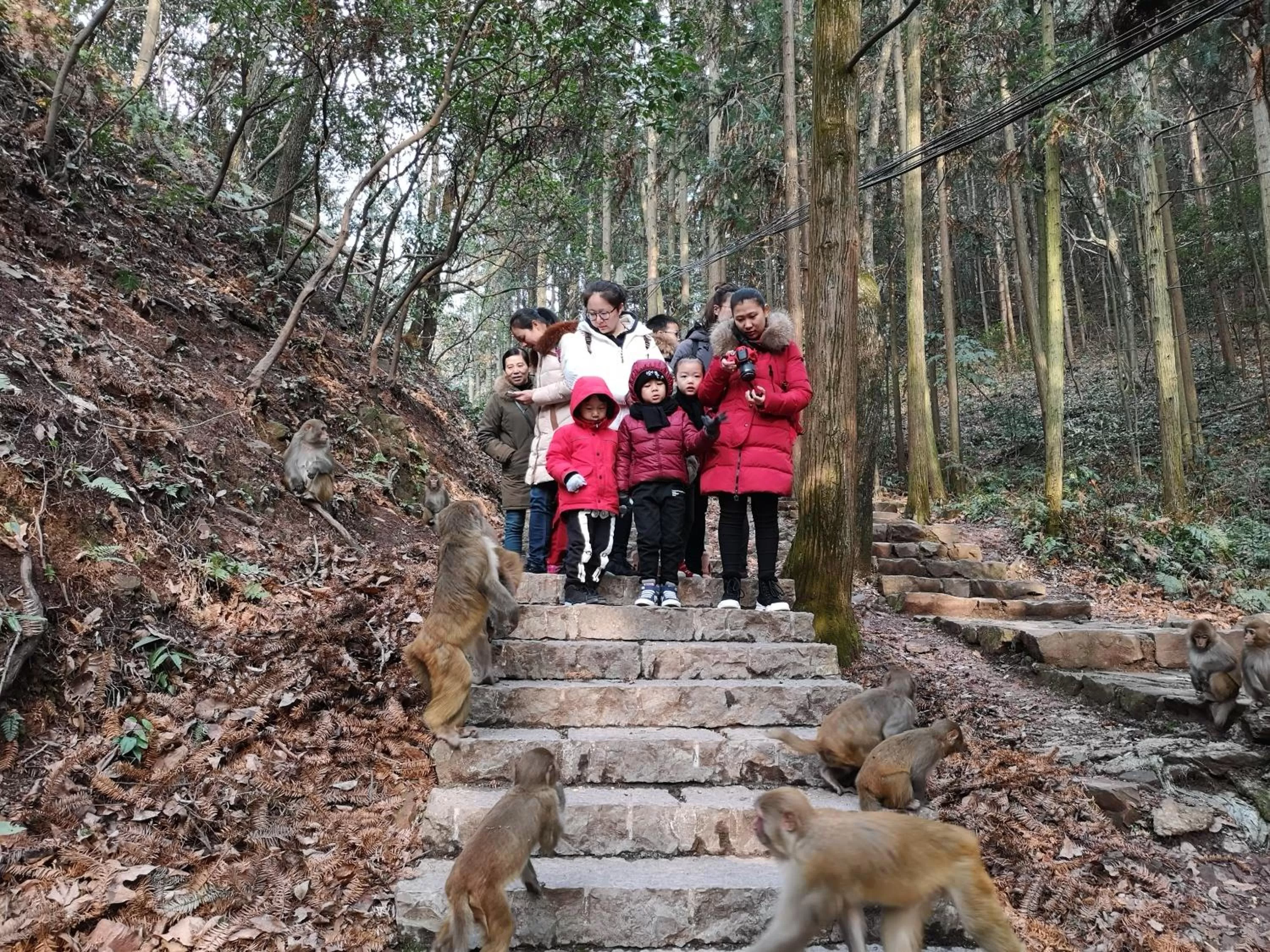 People in Yuelu Homestay